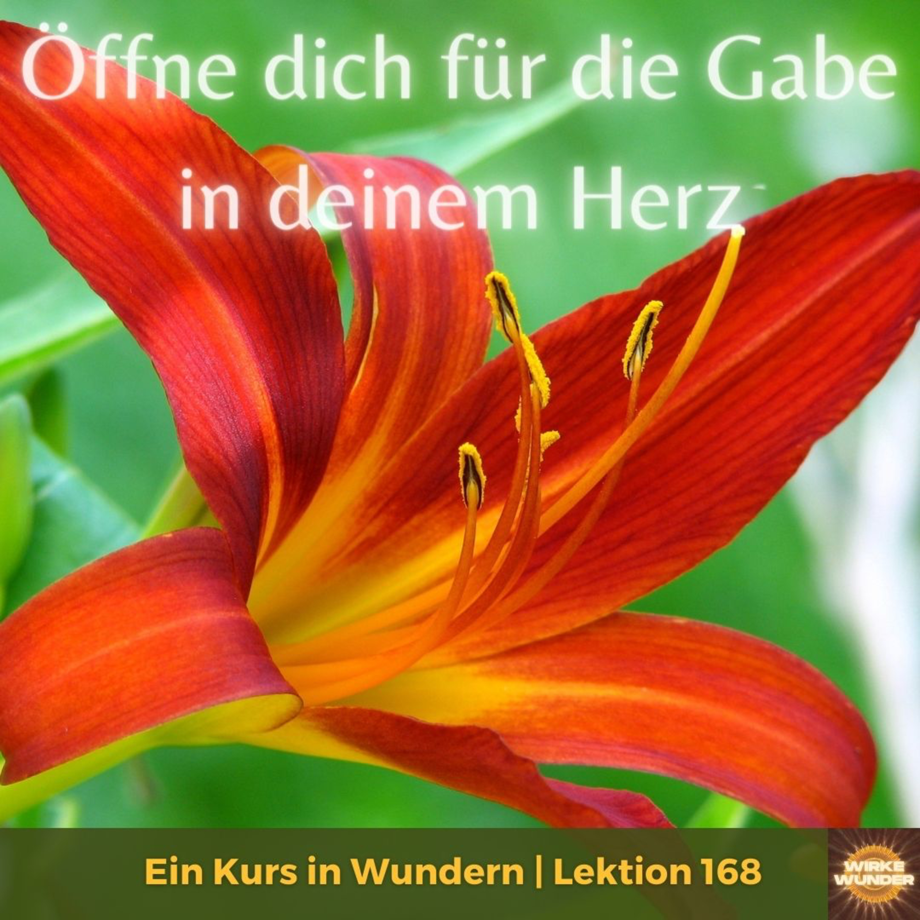 Wirke Wunder