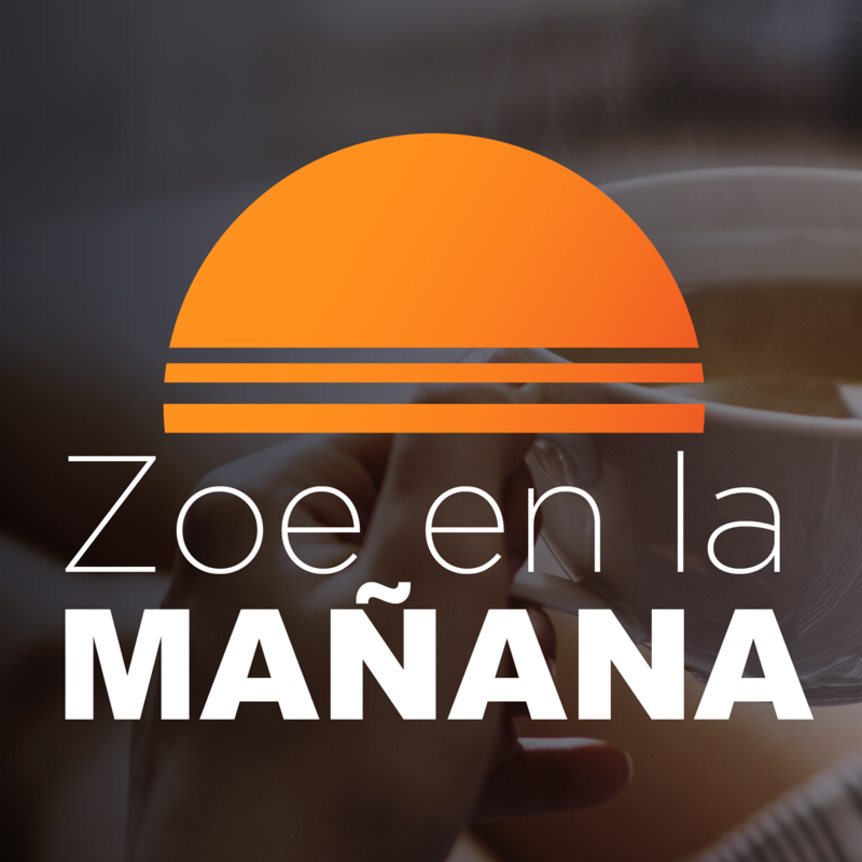 Zoe en la mañana | Pánico en los liceos: ¿Qué hay detrás de los peligrosos retos virales? | Edward Holfman