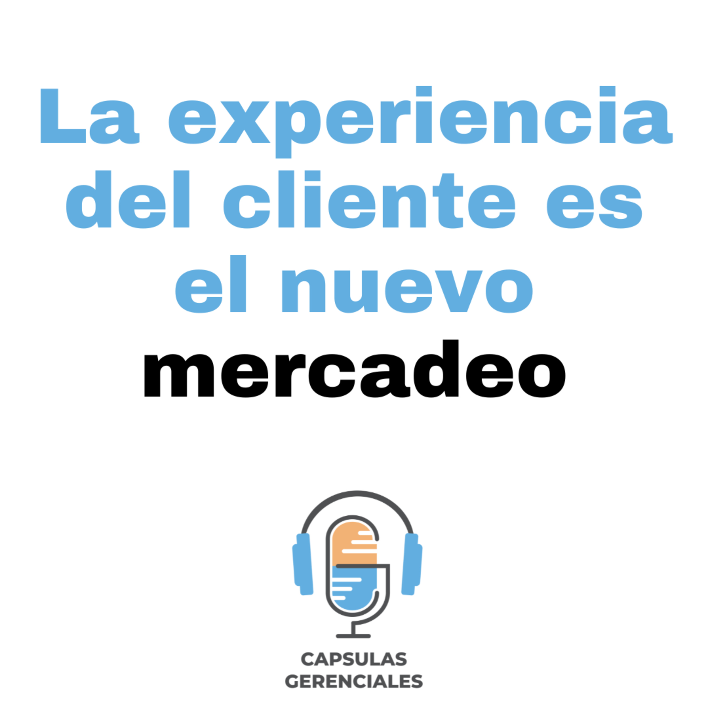 Portada de Cápsulas Gerenciales