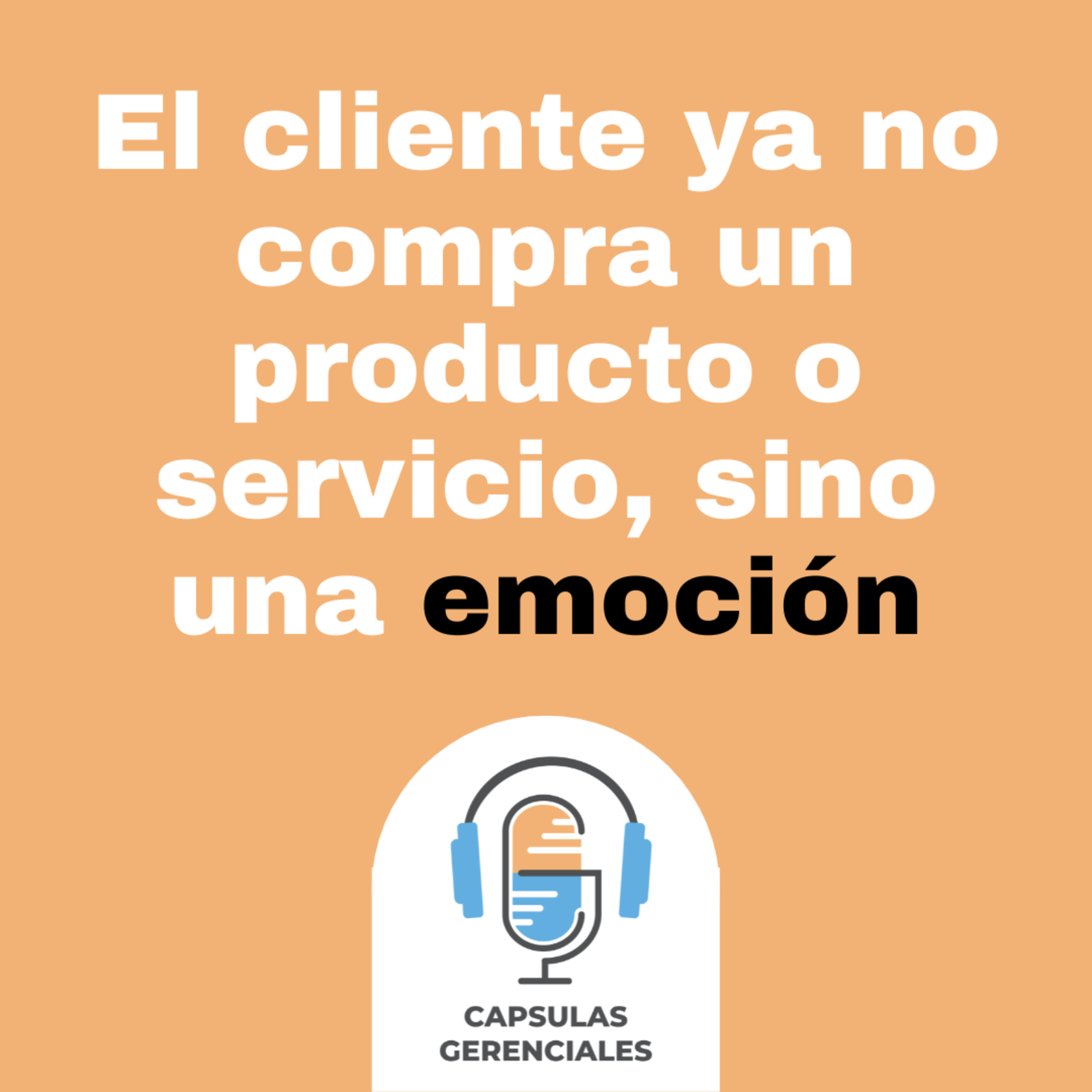 Portada de Cápsulas Gerenciales