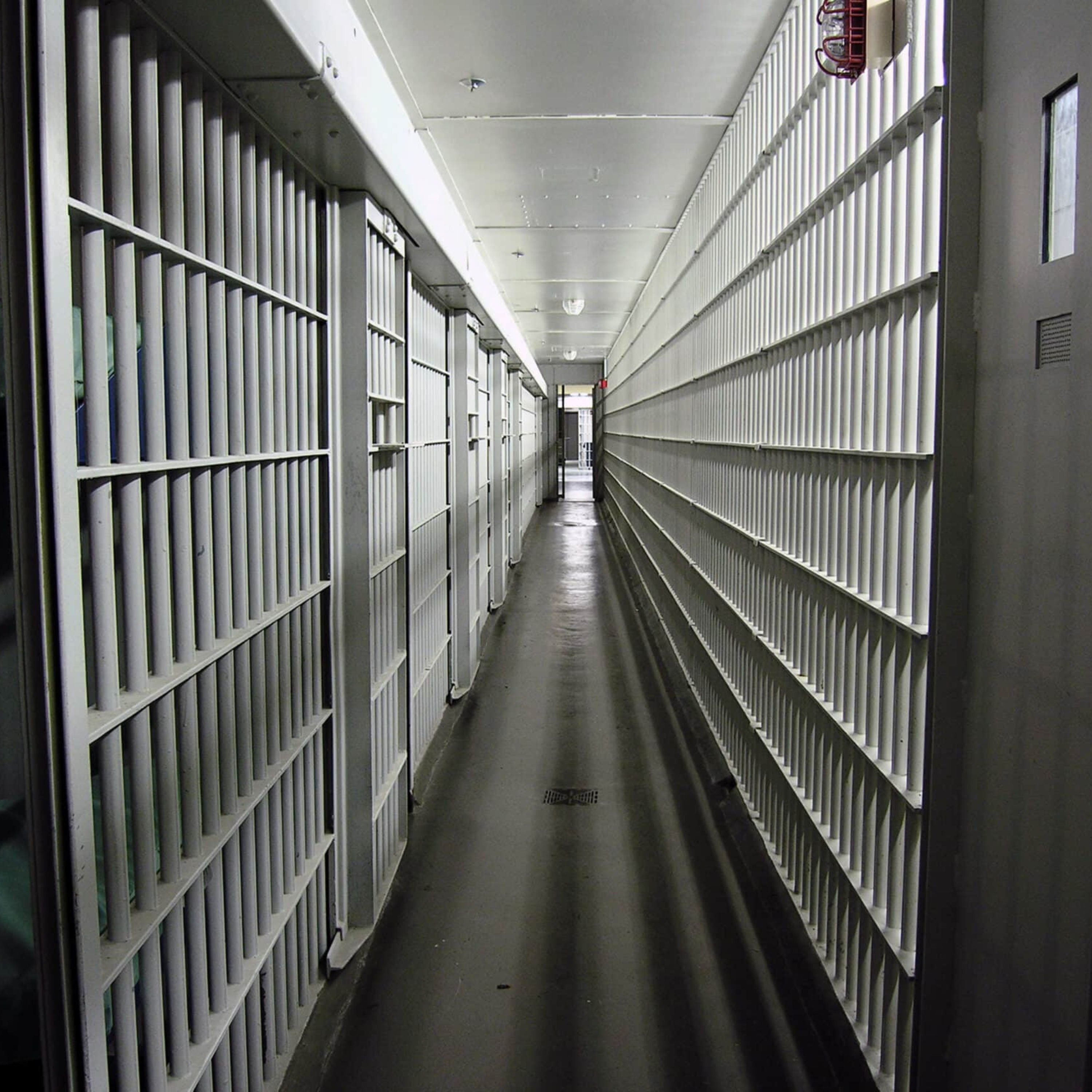 Yes or No? Automatic life in prison for murder. episode artwork