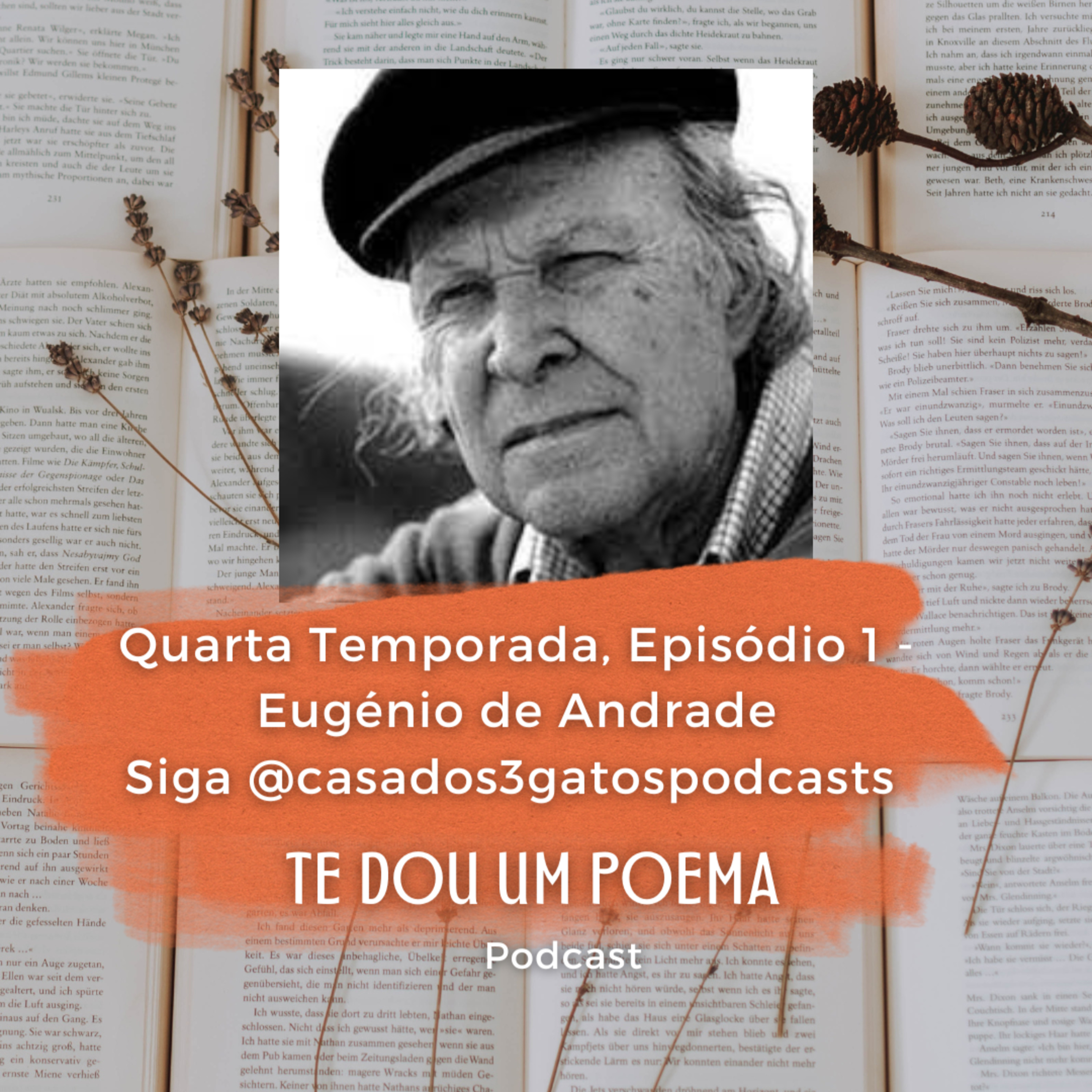 Te Dou Um Poema