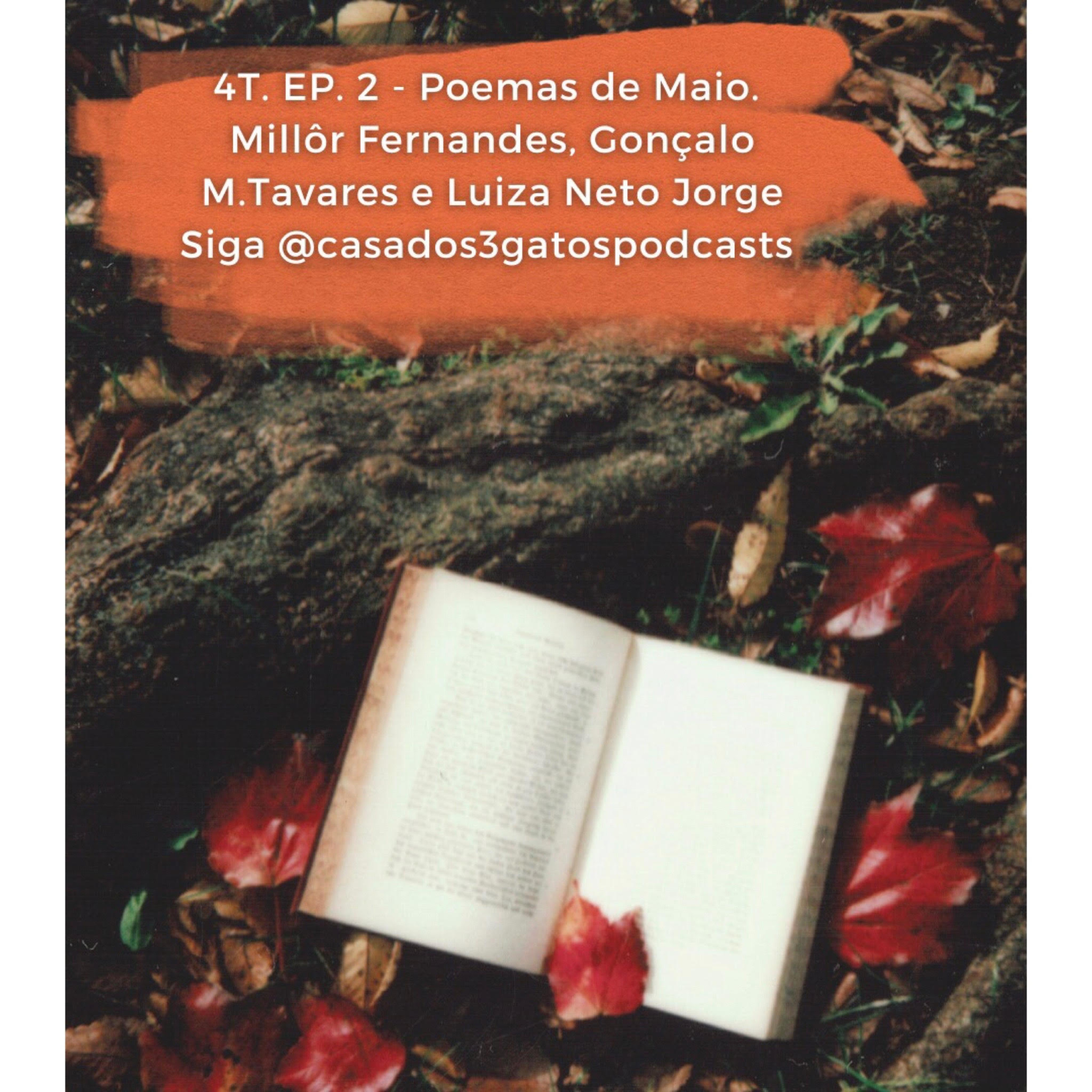Te Dou Um Poema