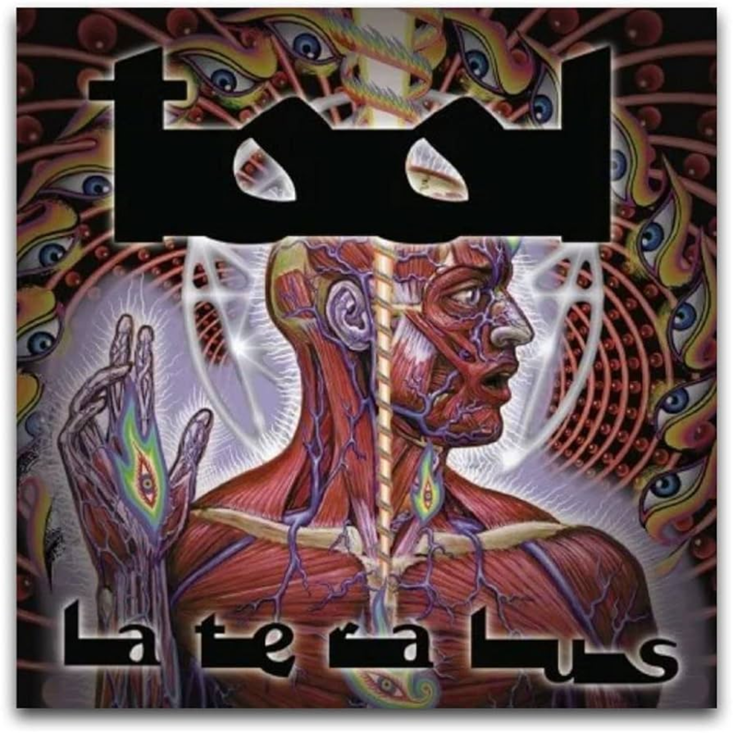 Cortito y al Pie. Lateralus, la secuencia Fibonacci. episode artwork