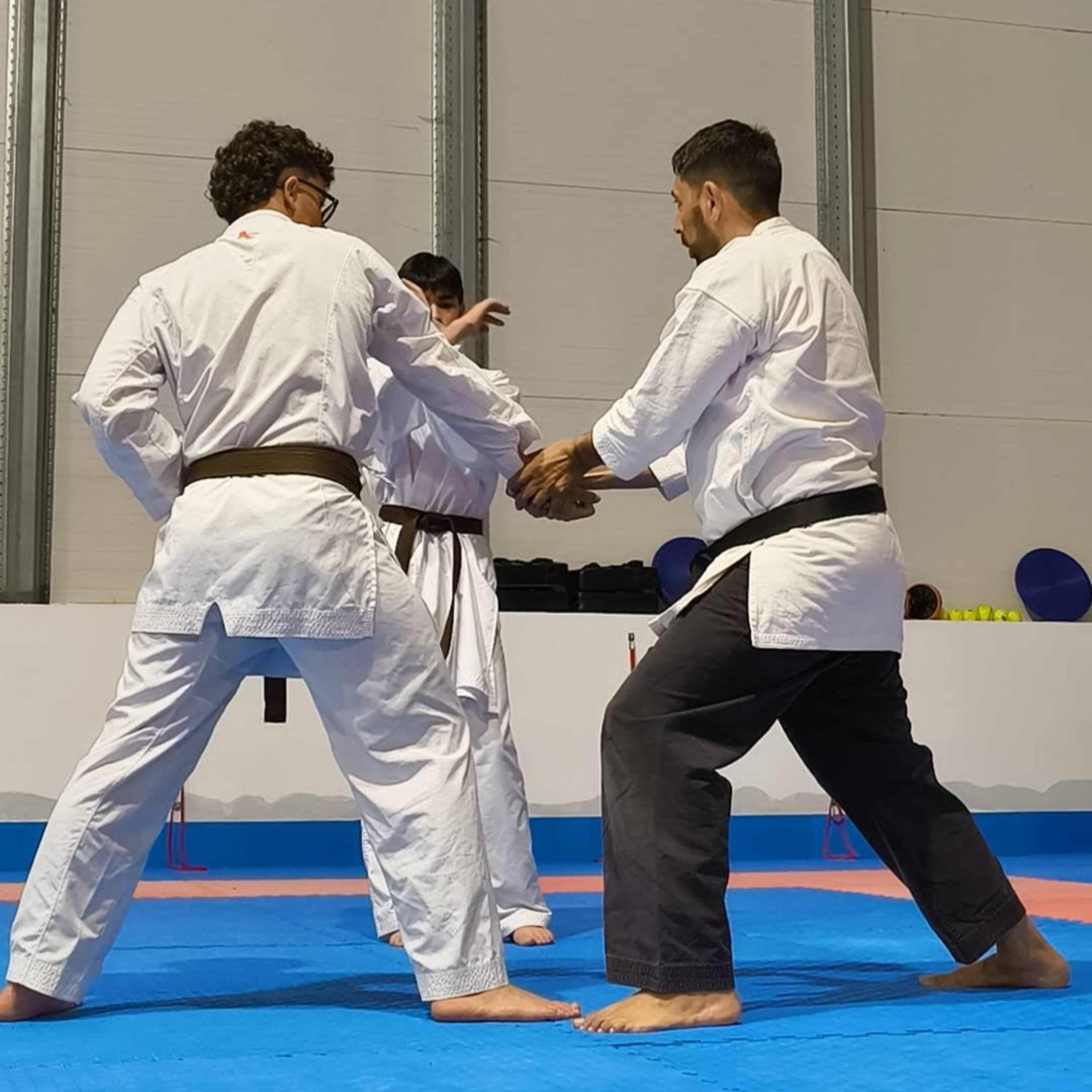 Vitor Machado Karate - Podcast