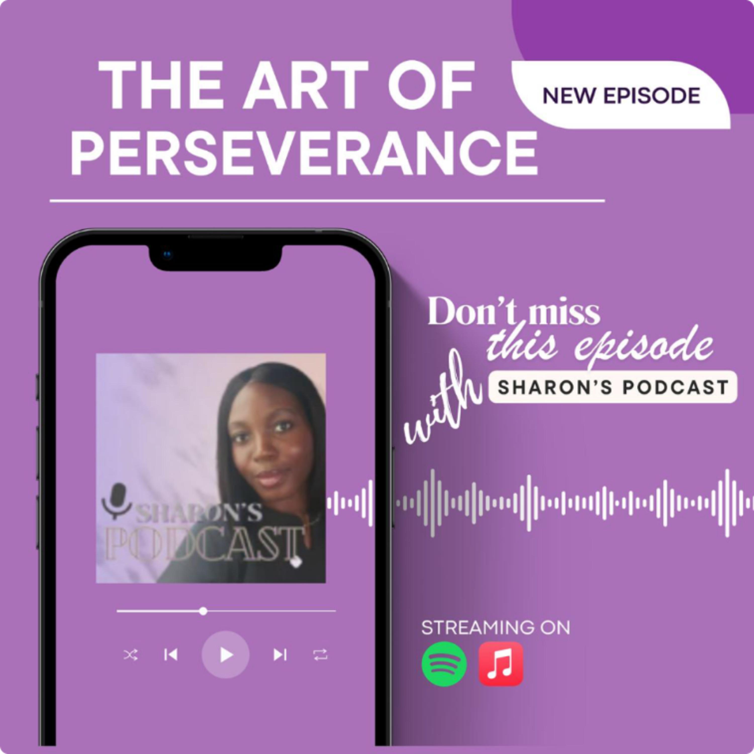 THE ART OF PERSEVERANCE 