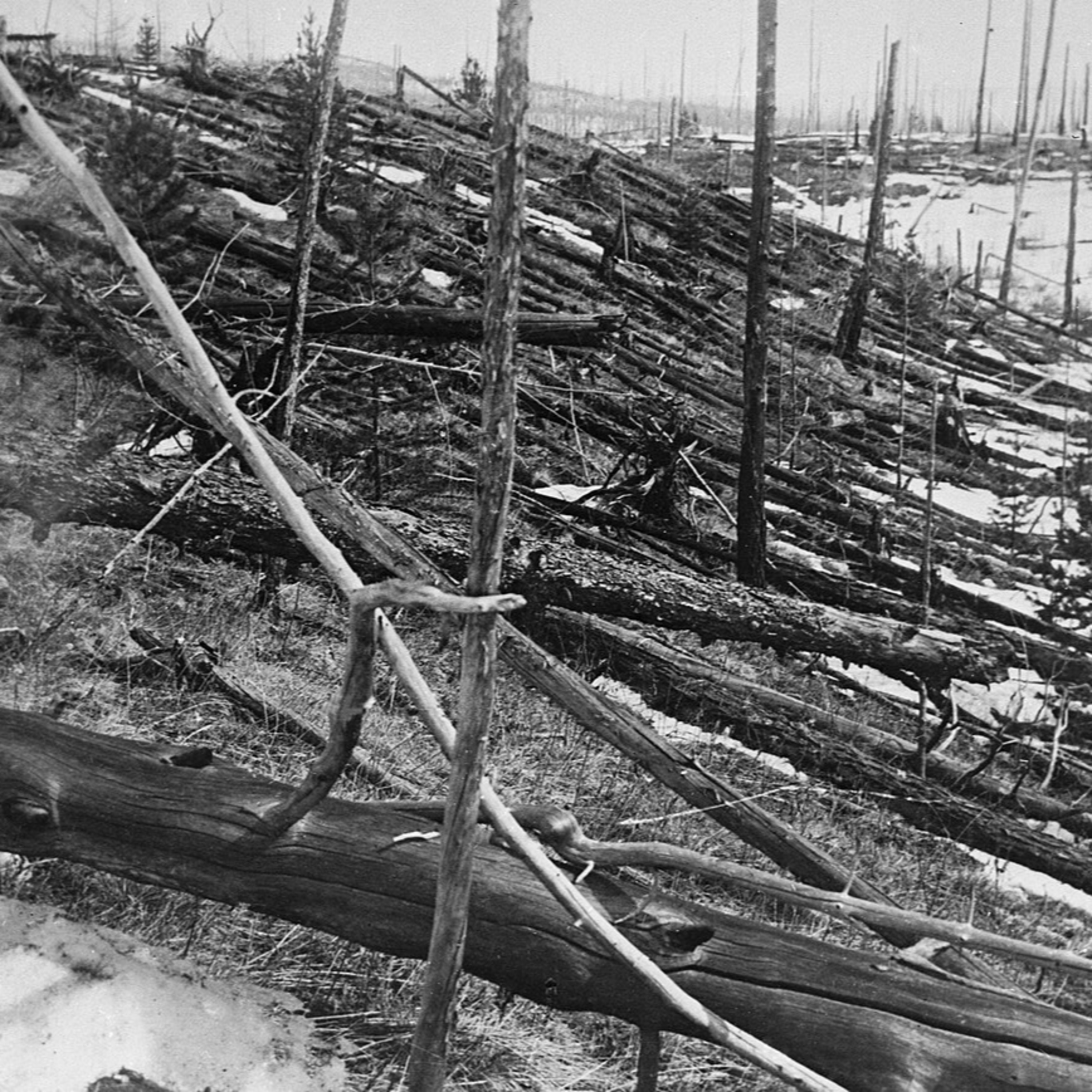 Bólido de Tunguska (1908)