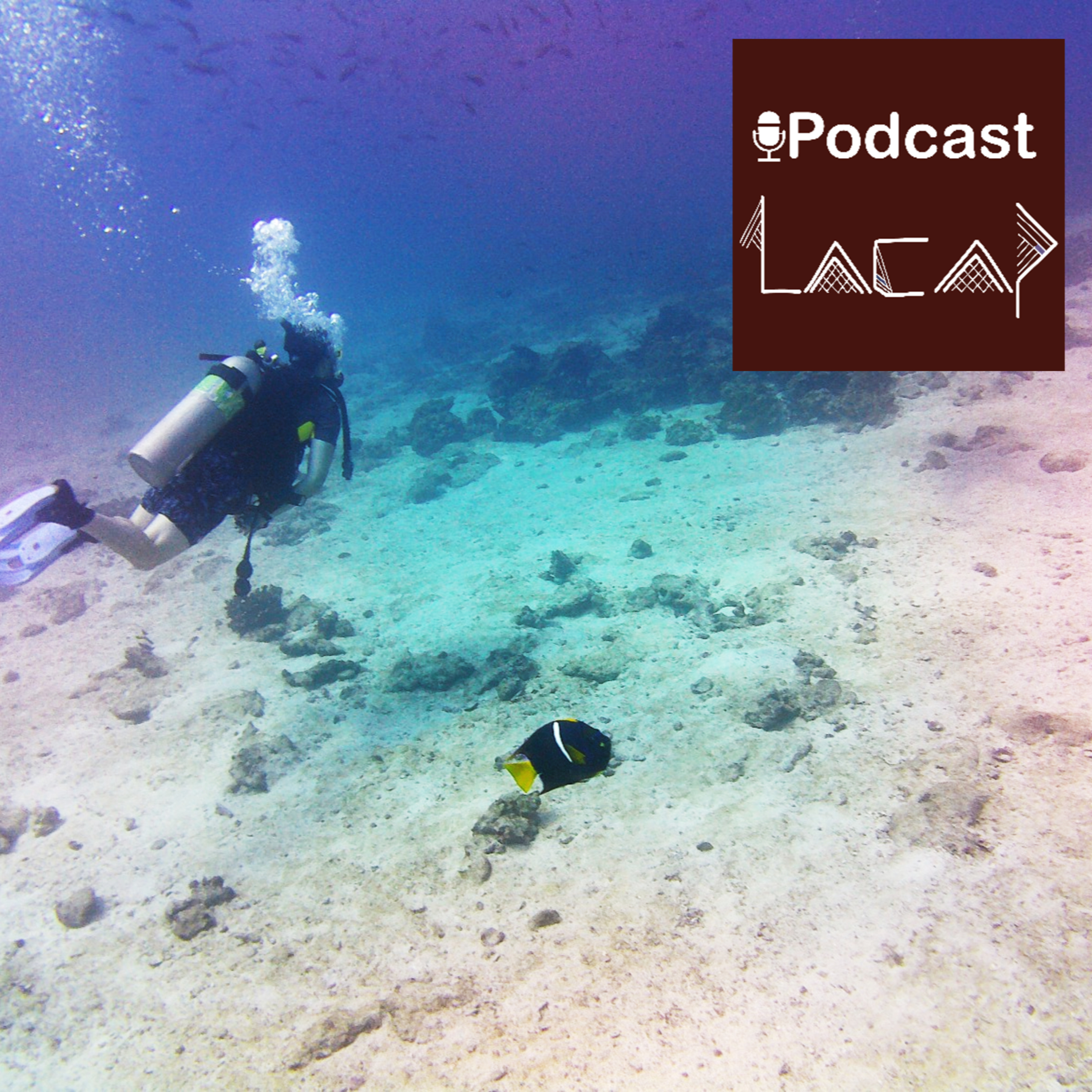 Episodio 32: Arqueología subacuática y náutica episode artwork