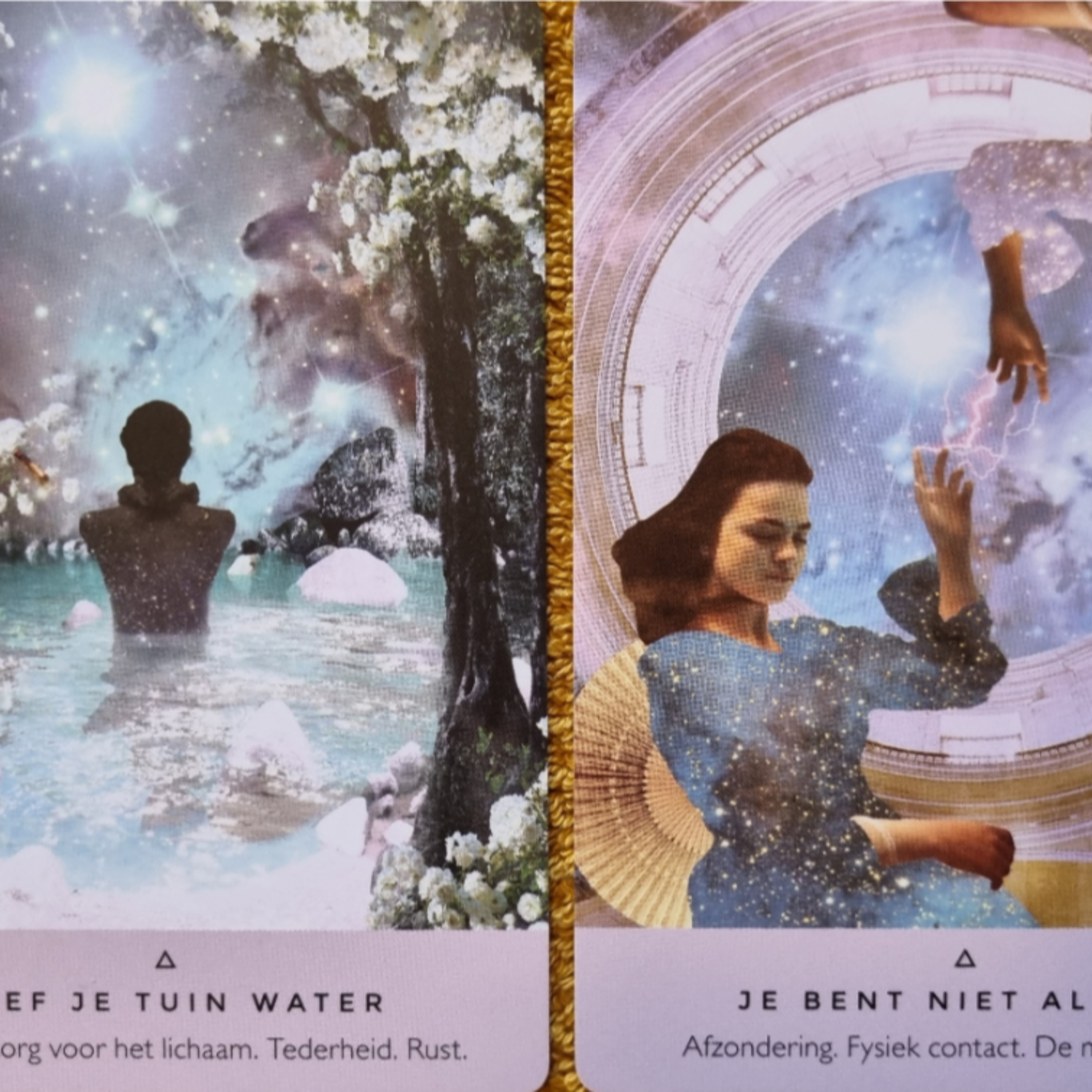 De Zevende Dag Podcast ♡