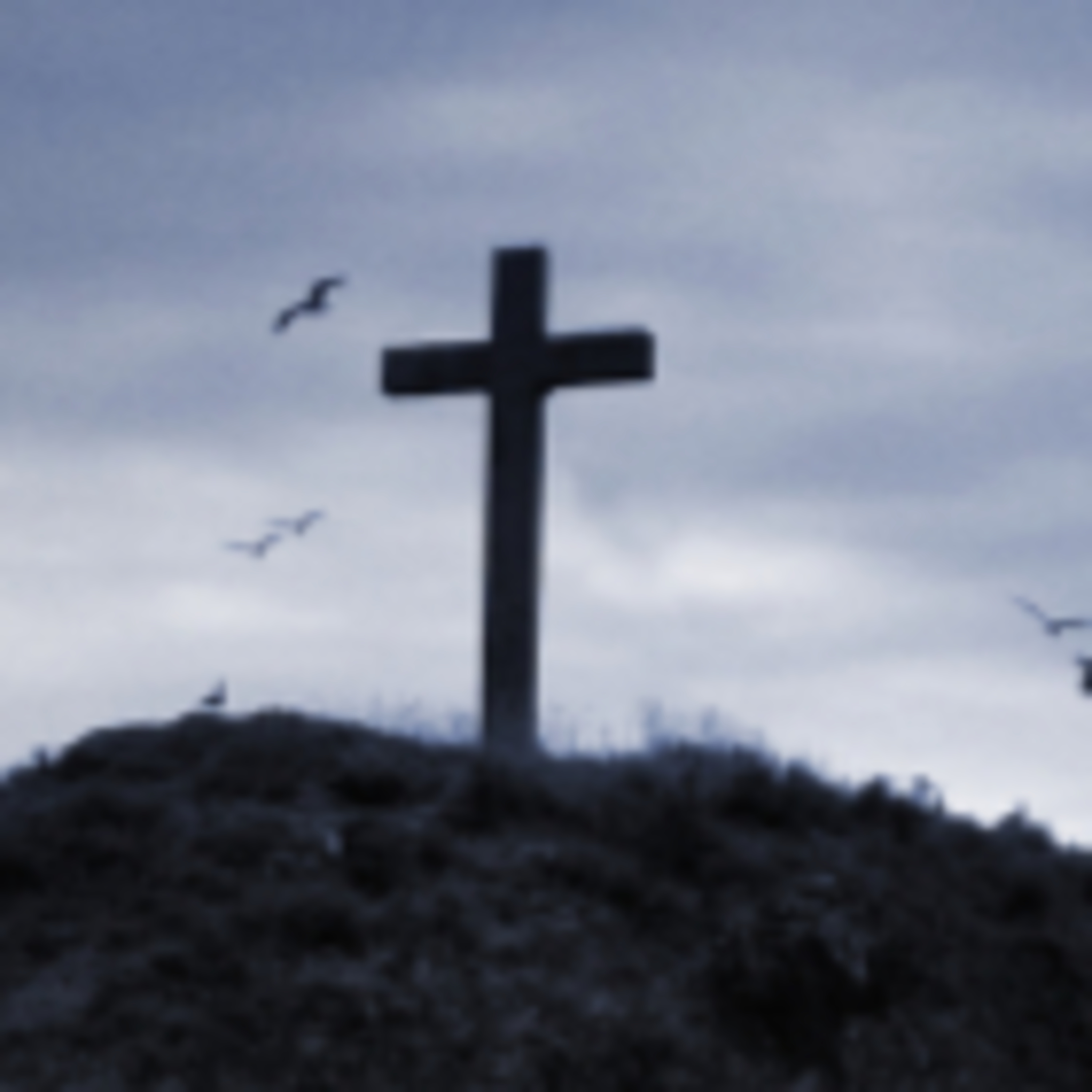 Christian Fellowship Church, Detroit Lakes MN - Messages