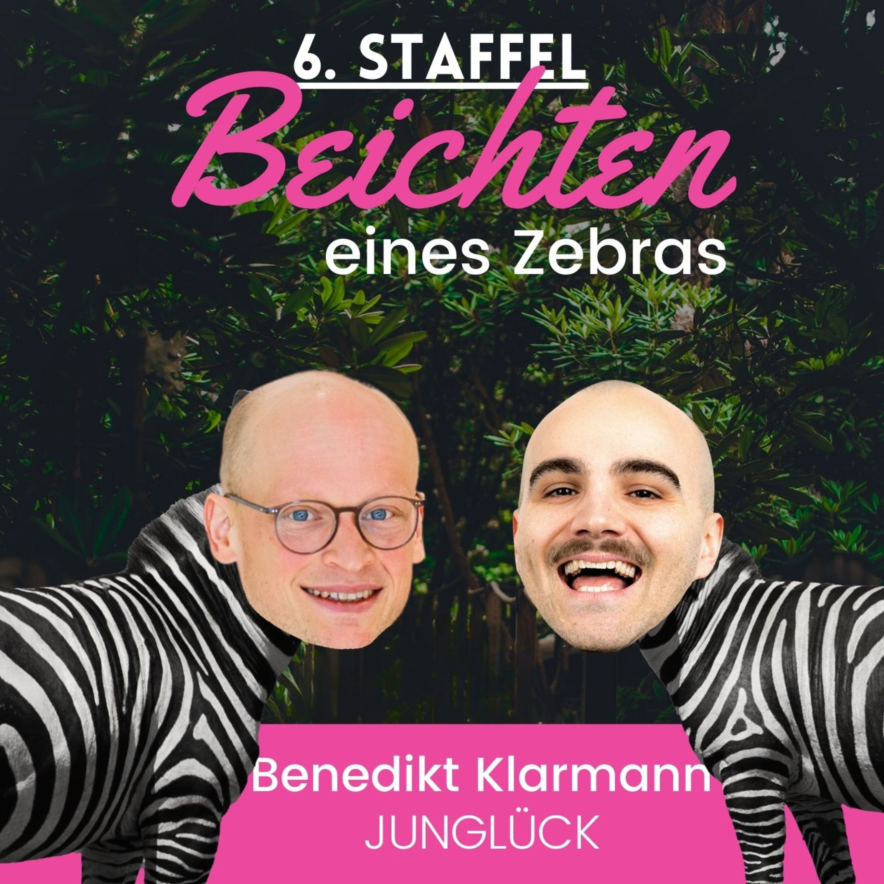 Beichten eines Zebras