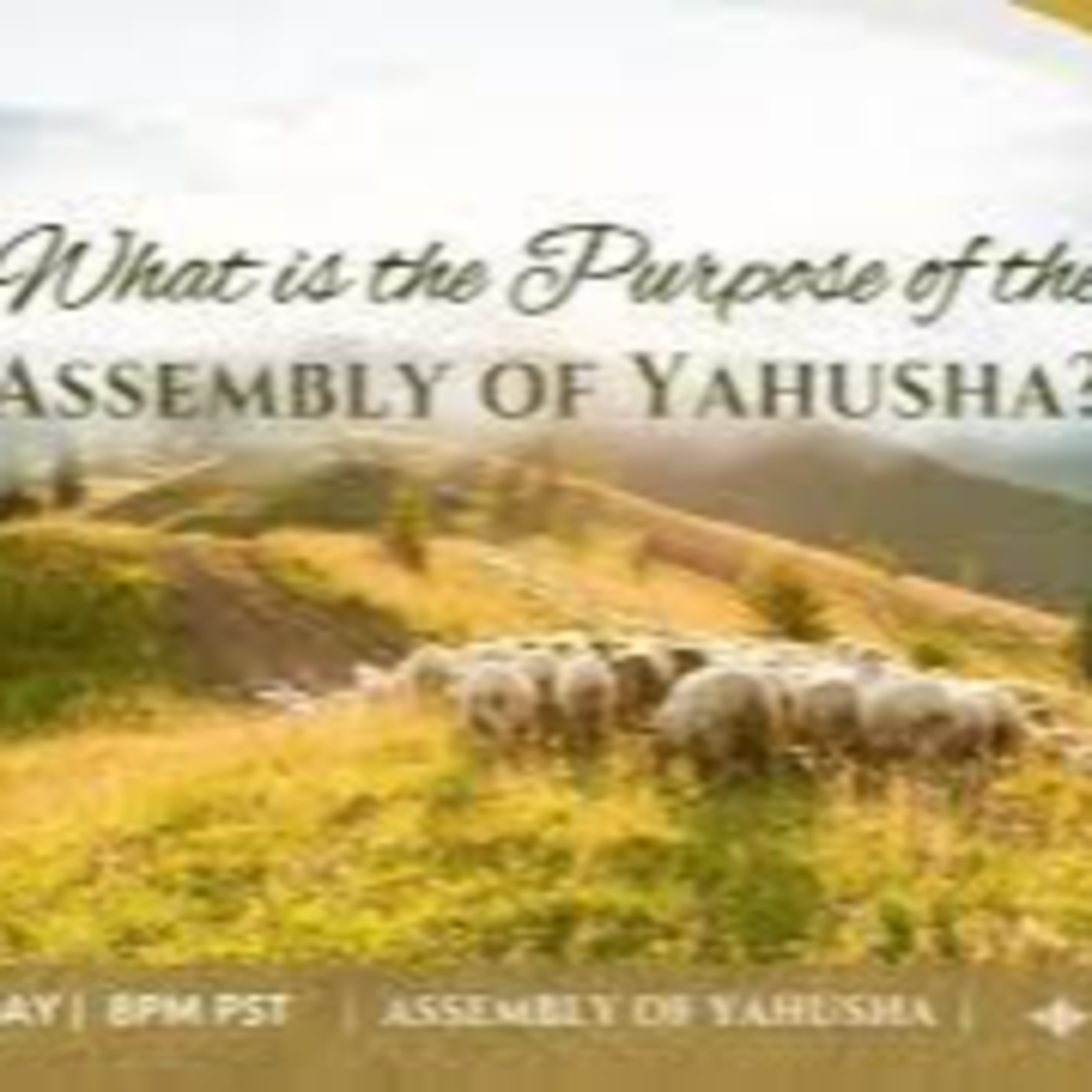 Assembly of Yahusha