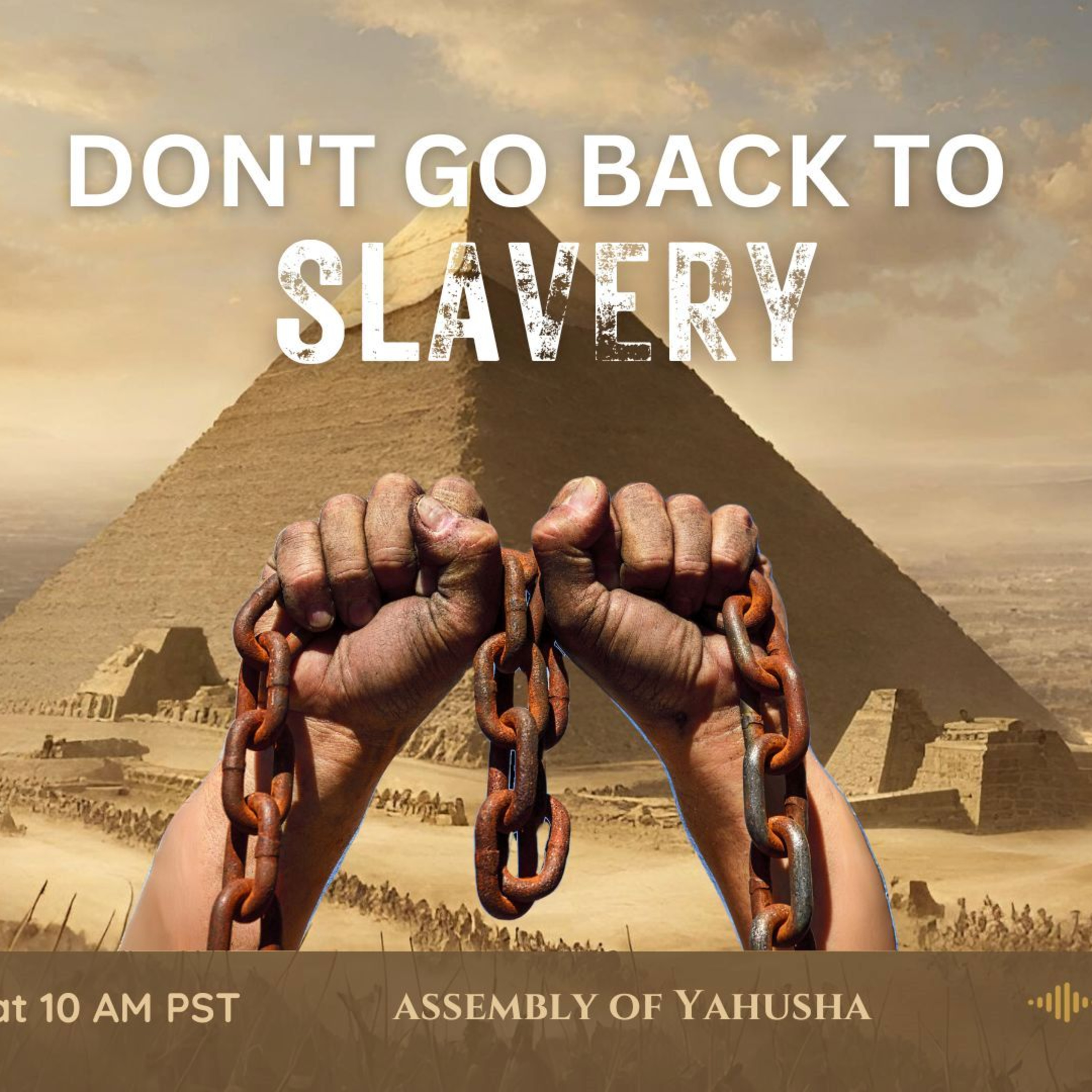 WS - Don't Go Back To Slavery