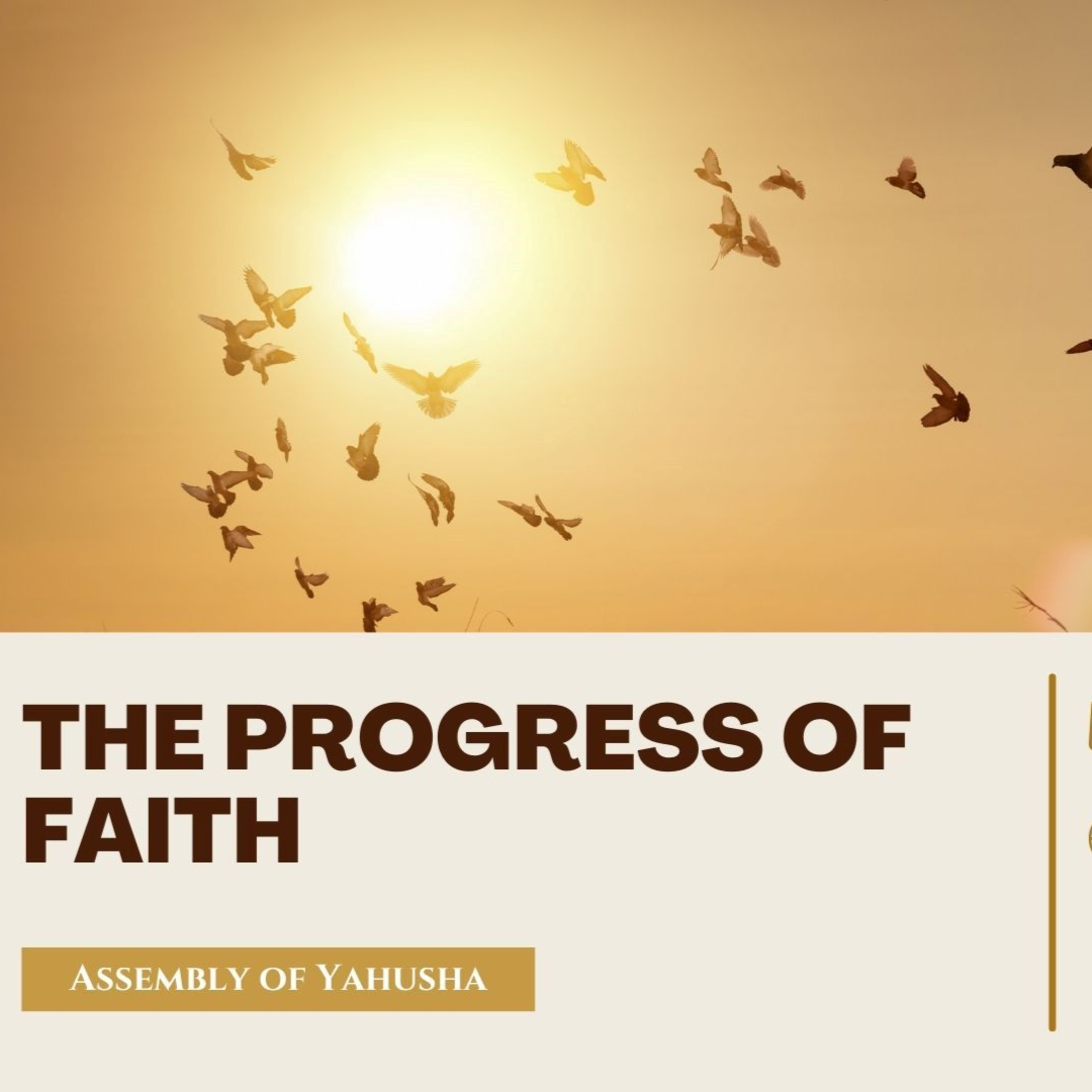 WS - The Progress Of Faith