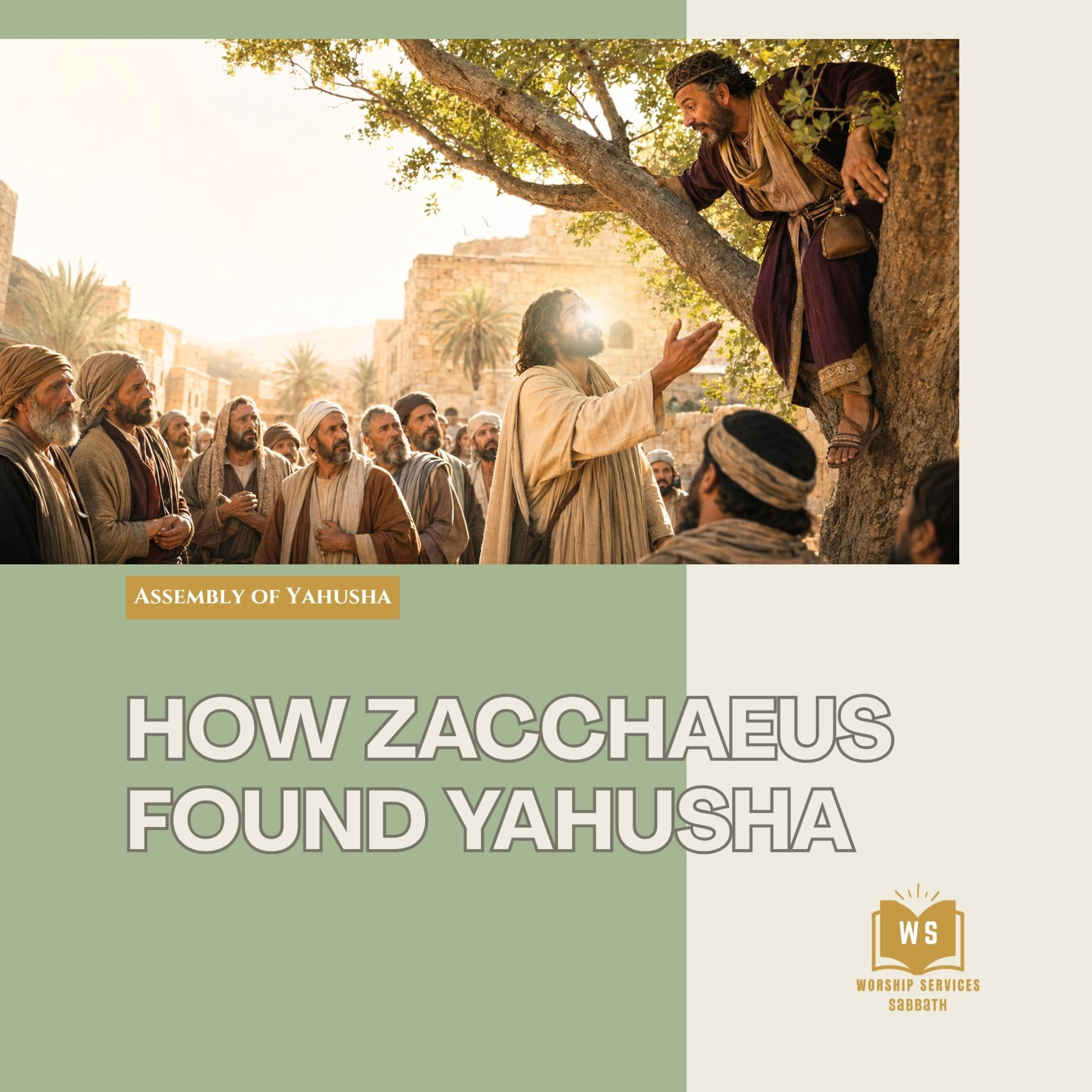 WS - How Zacchaeus Found Yahusha episode artwork