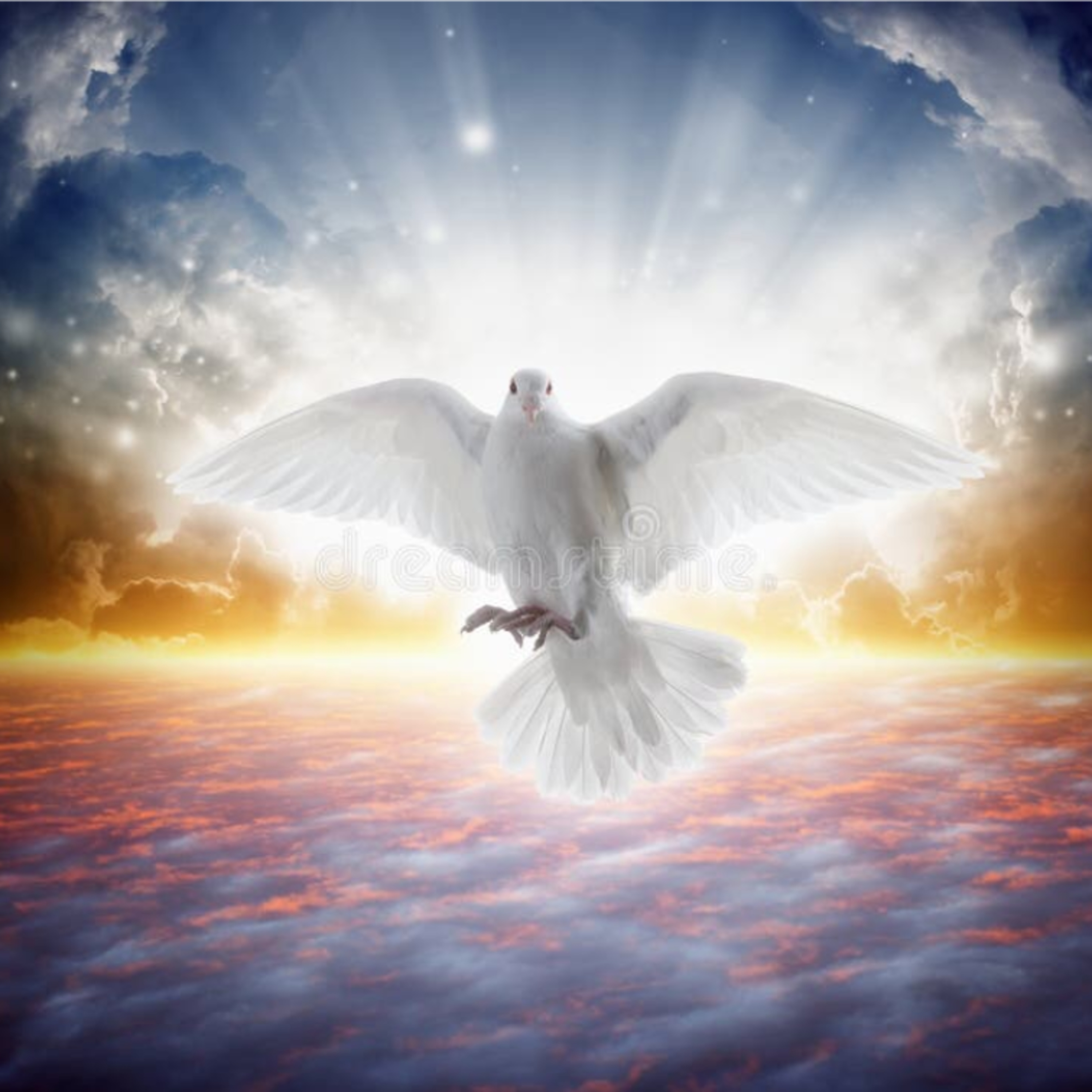 O Anjo da Vida  episode artwork