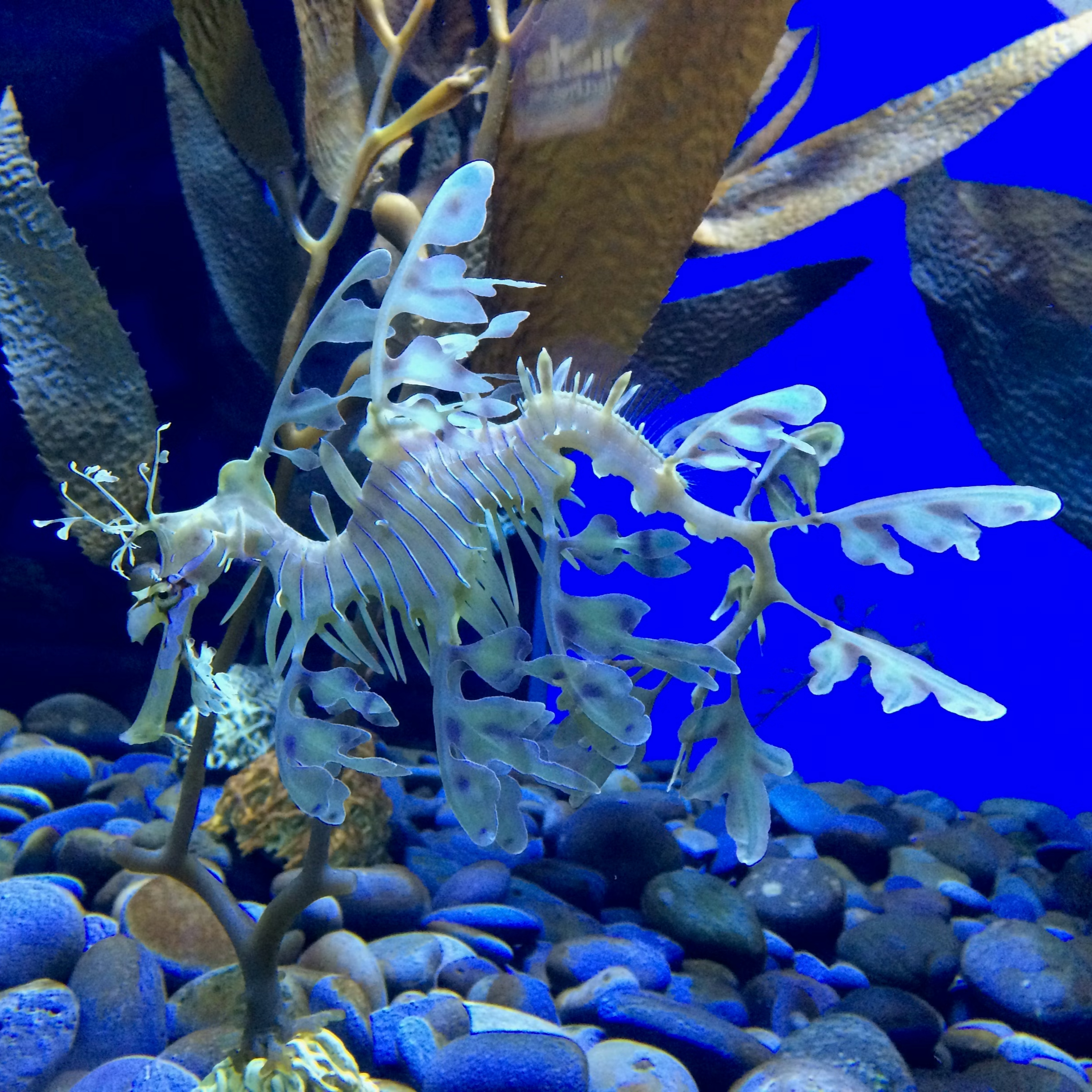 10 - Chinese is fascinating and exciting, not weird and stupid