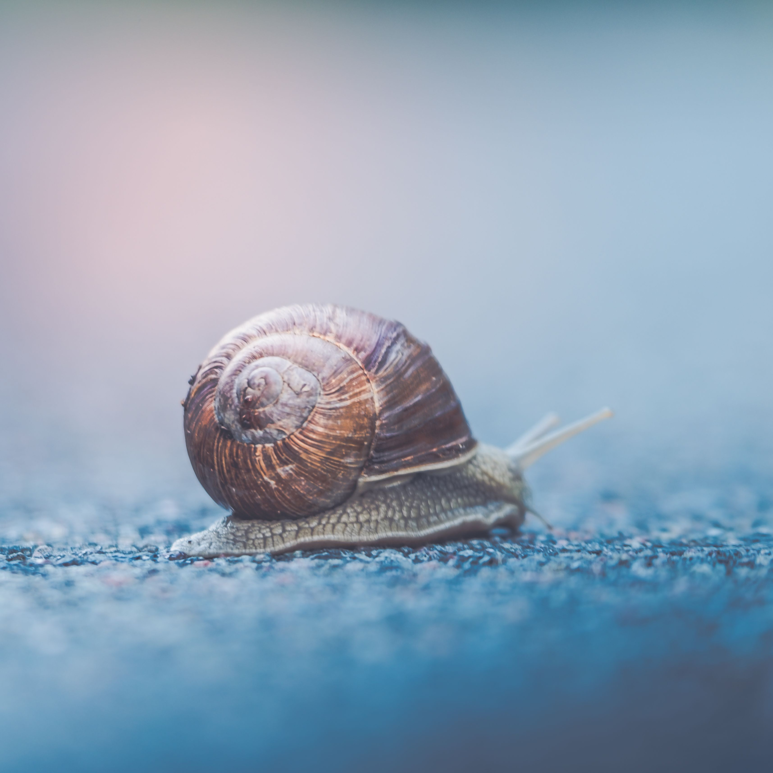 305 - When spaced repetition fails, and what to do about it
