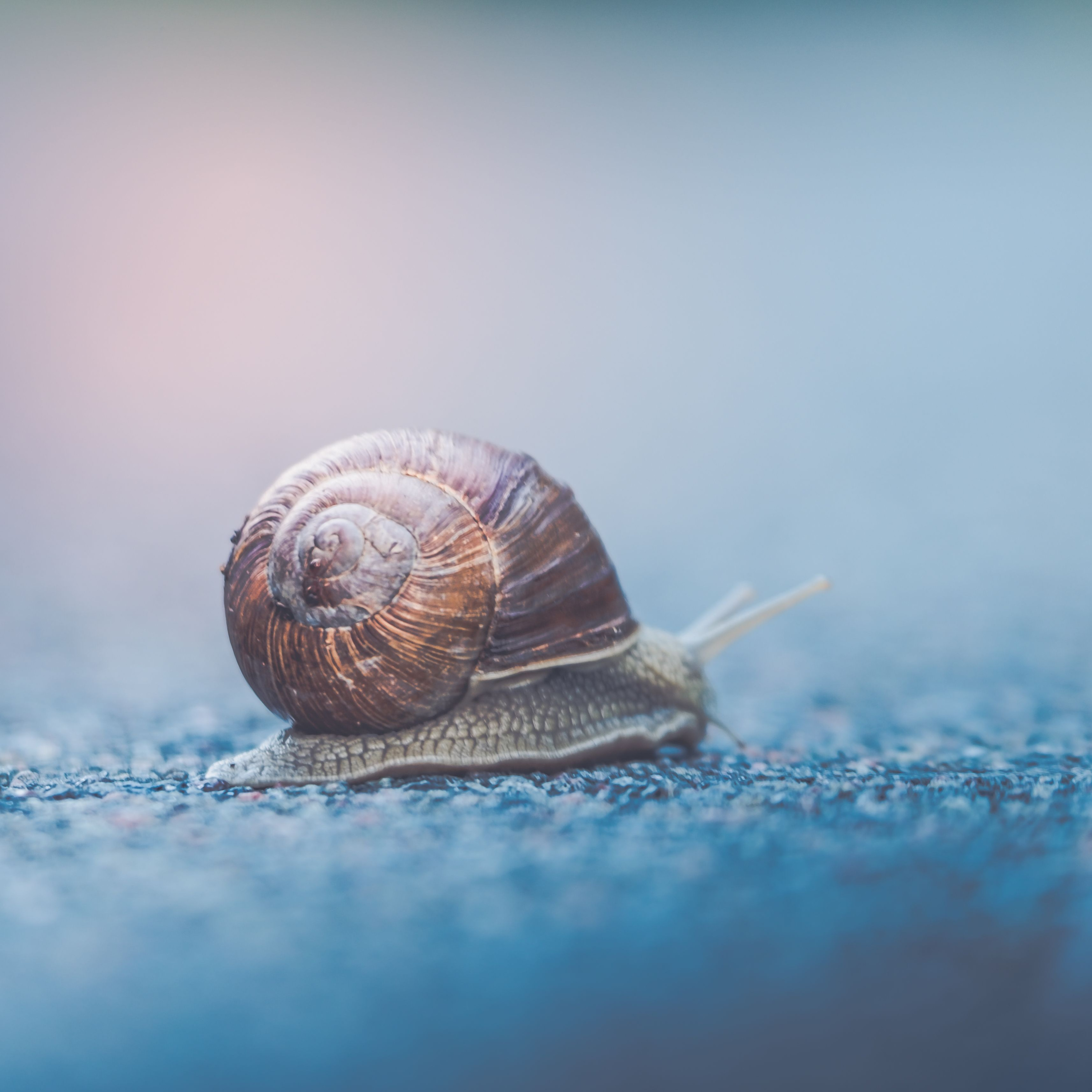 12 - When spaced repetition fails, and what to do about it