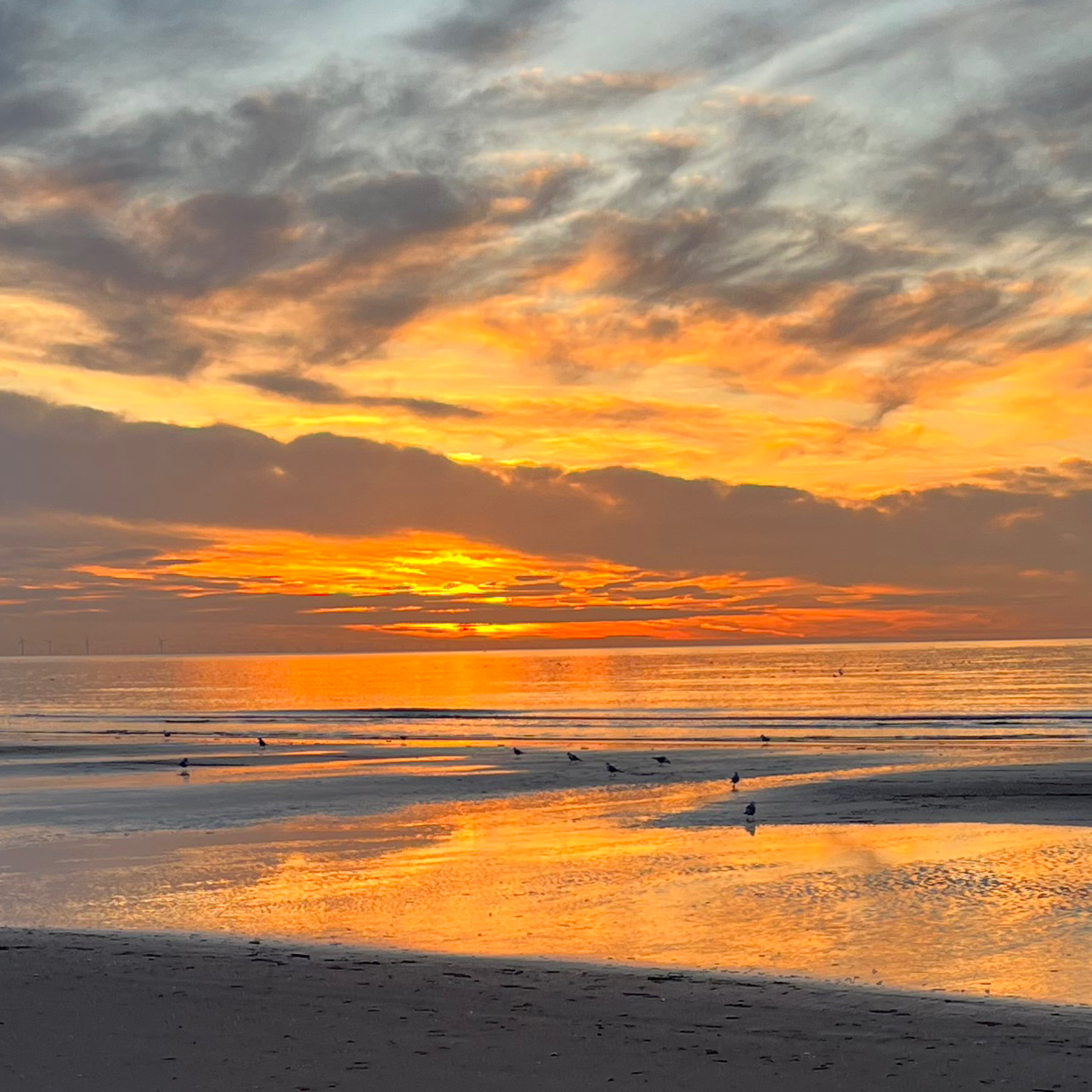 Fr Gerry Proctor MBE (Episode 6) priest in the Roman Catholic Archdiocese of Liverpool. Fr Gerry Proctor MBE (Episode 6) priest in the Roman Catholic Archdiocese of Liverpool.