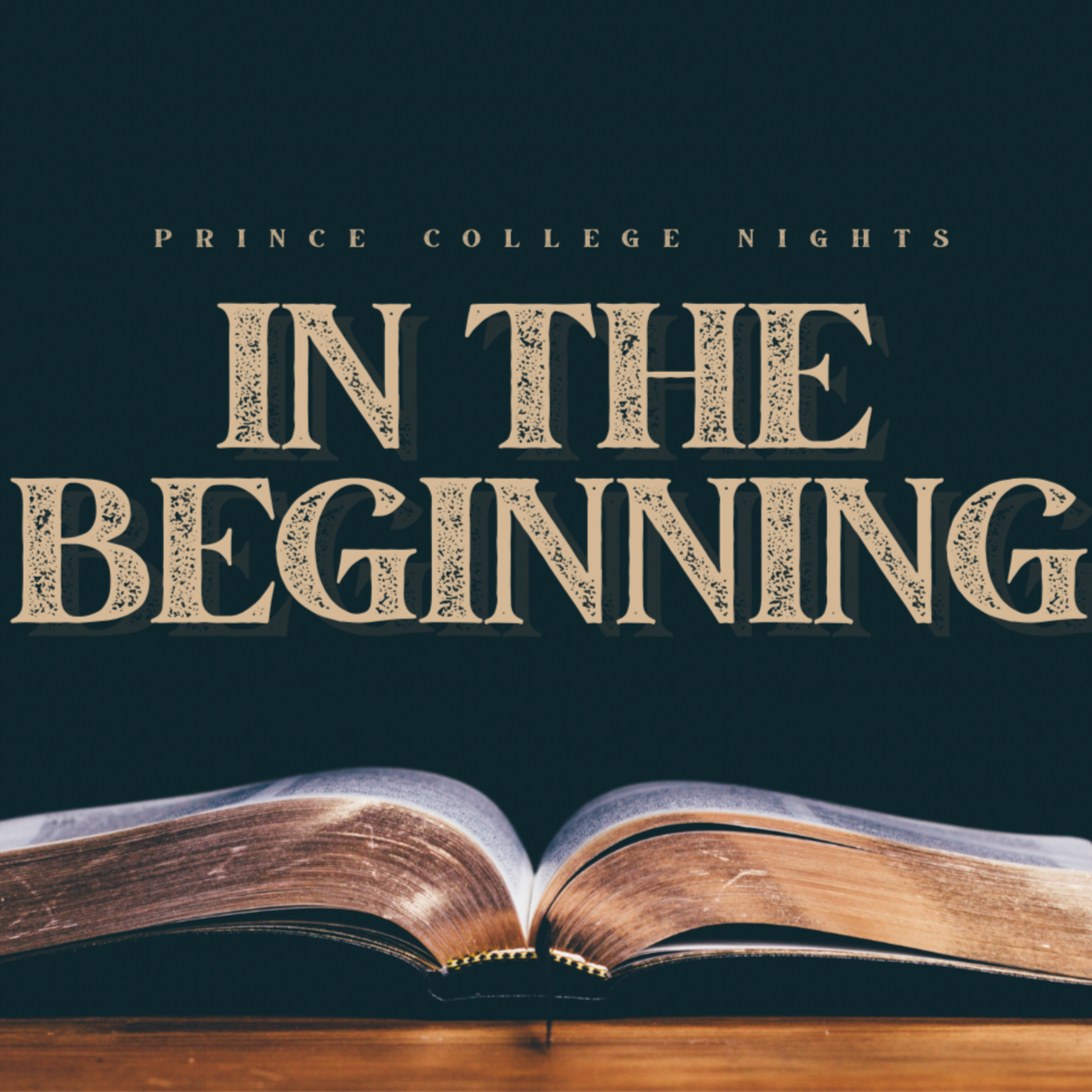 PCN | In The Beginning | Genesis 1-3 episode artwork