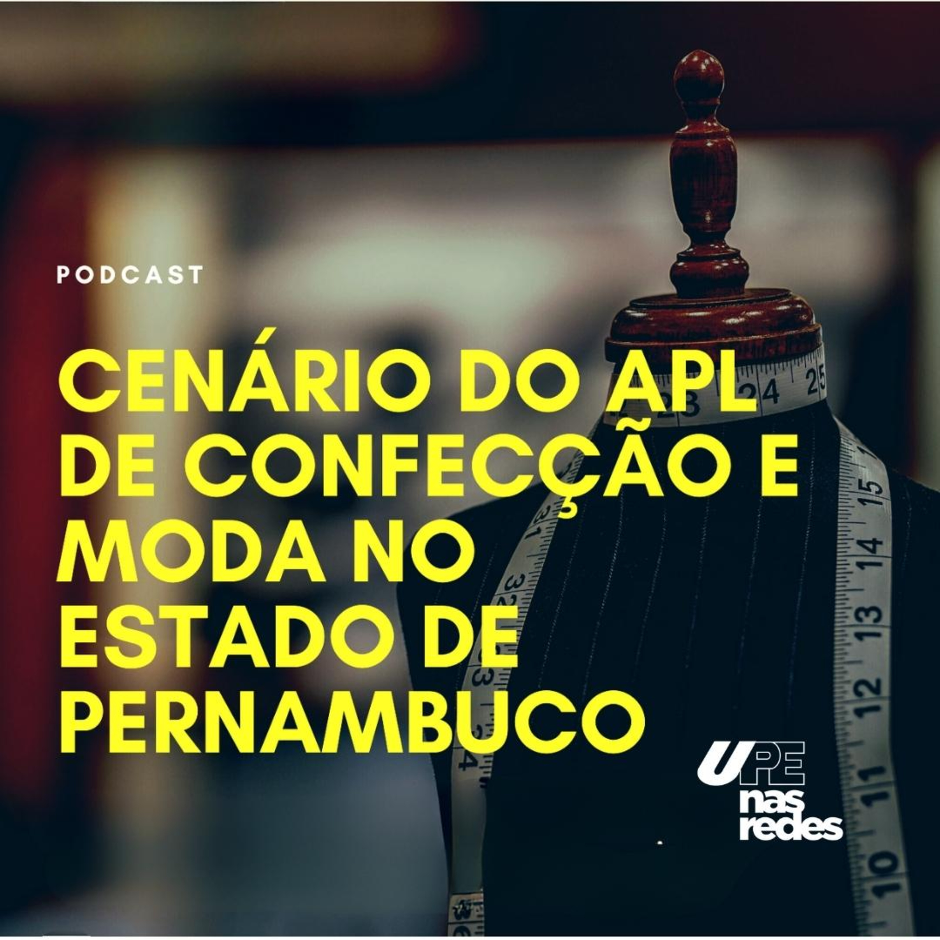 #04 Arranjos Produtivos Locais (APL) Confecções e Moda - Parte 4