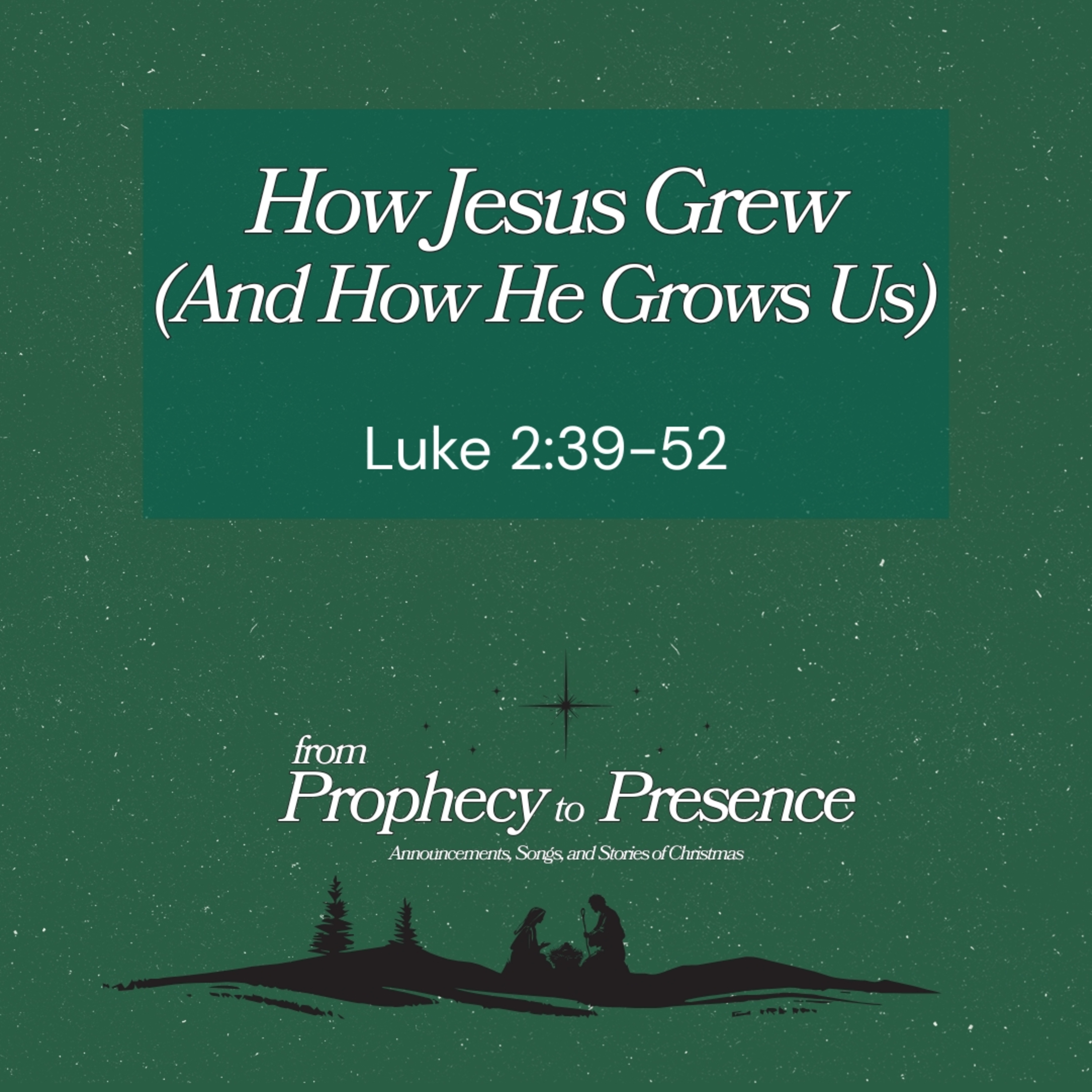How Jesus Grew (And How He Grows Us) | Luke 2:39-52 episode artwork