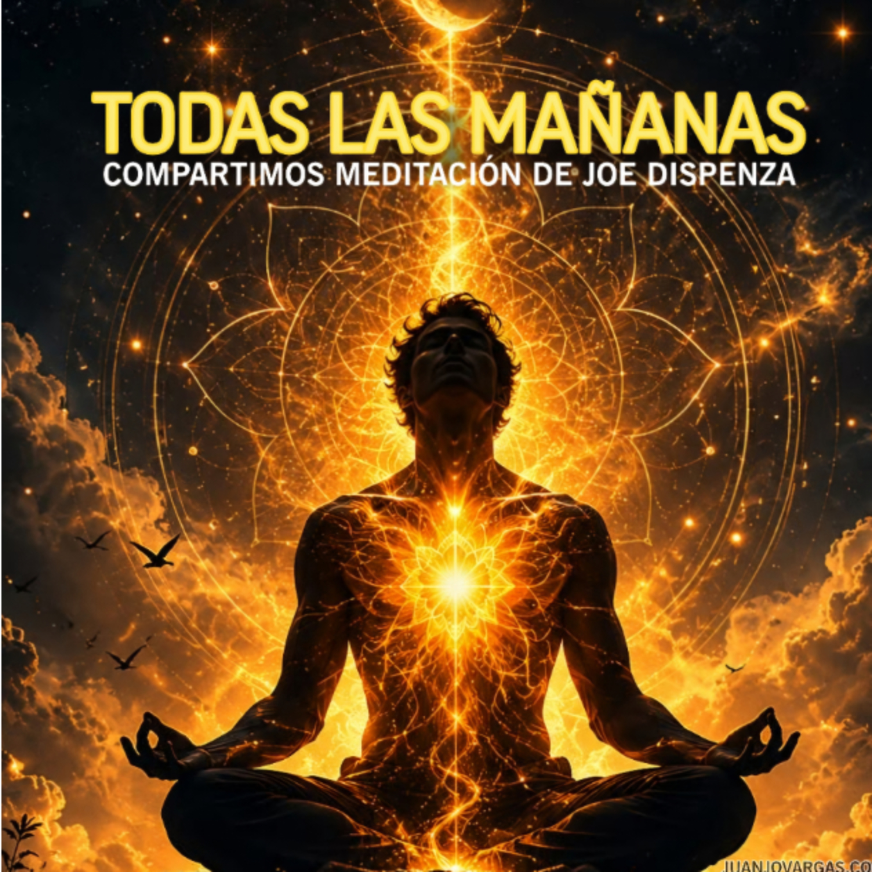 Escuchar Todas las Mañanas - Meditación de Jose Dispenza episode artwork