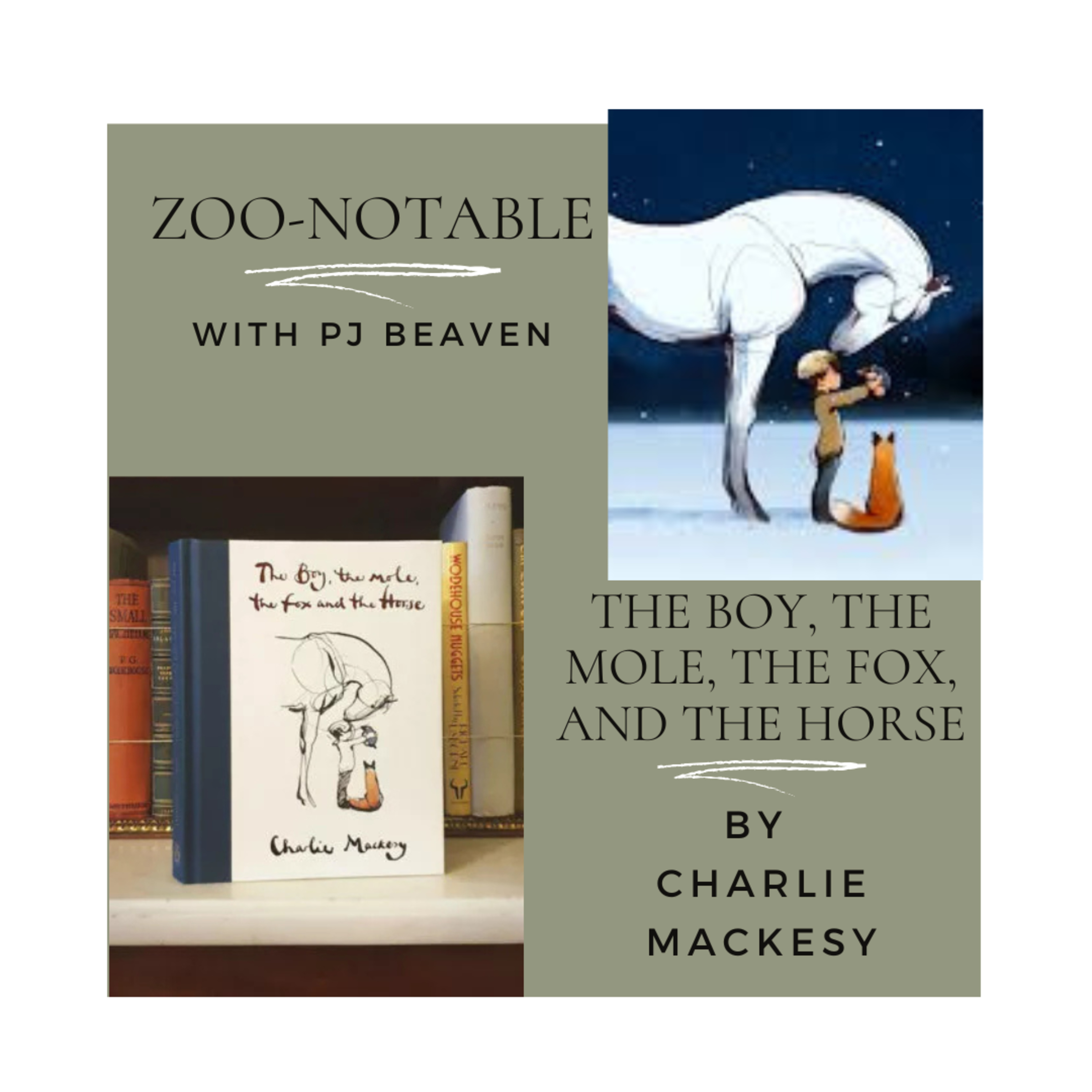 The Boy, the Mole, the Fox, and the Horse by Charlie Mackesy episode artwork