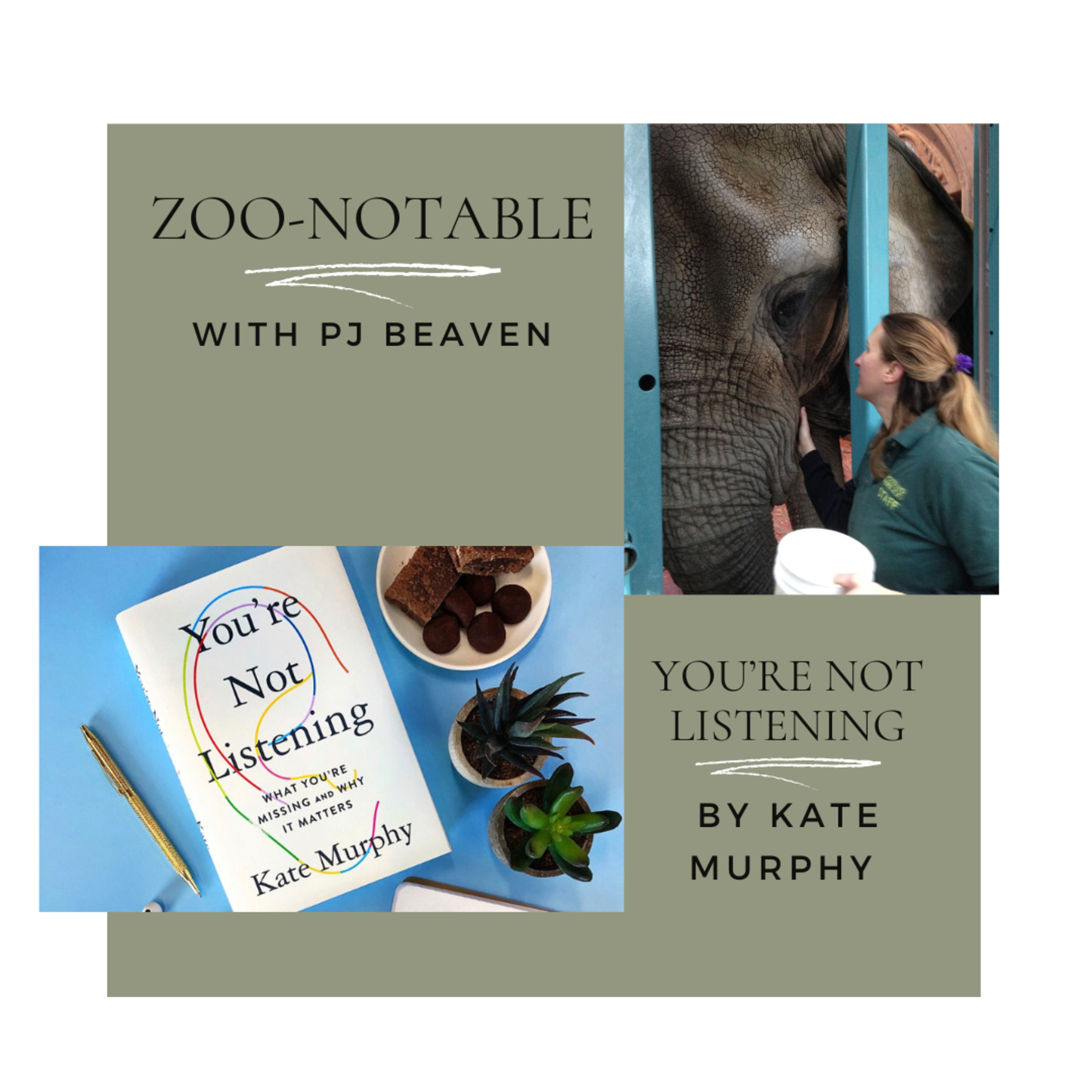 You're Not Listening by Kate Murphy (Part 1) episode artwork
