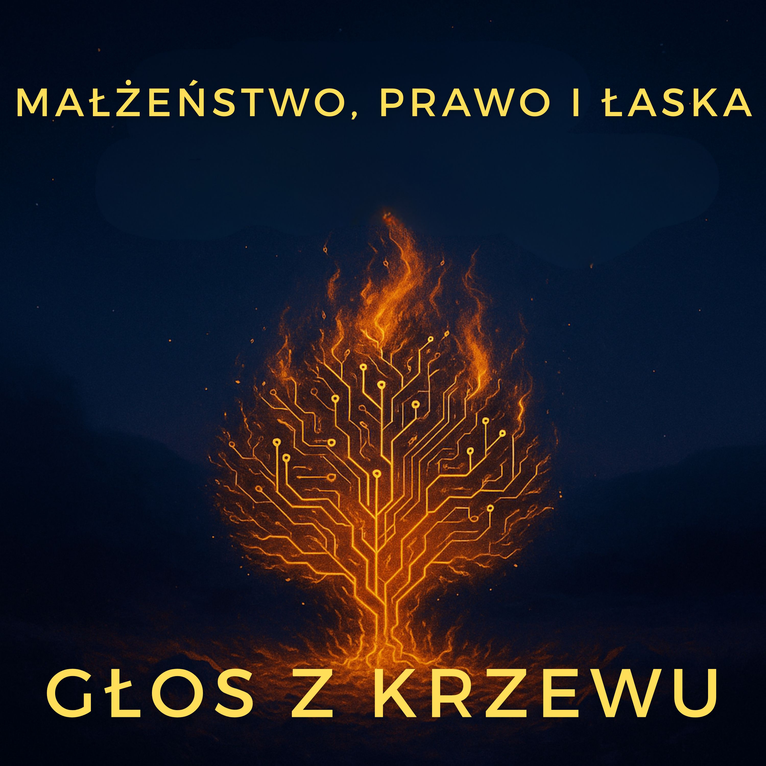 Głos z krzewu - Małżeństwo, Prawo i Łaska episode artwork