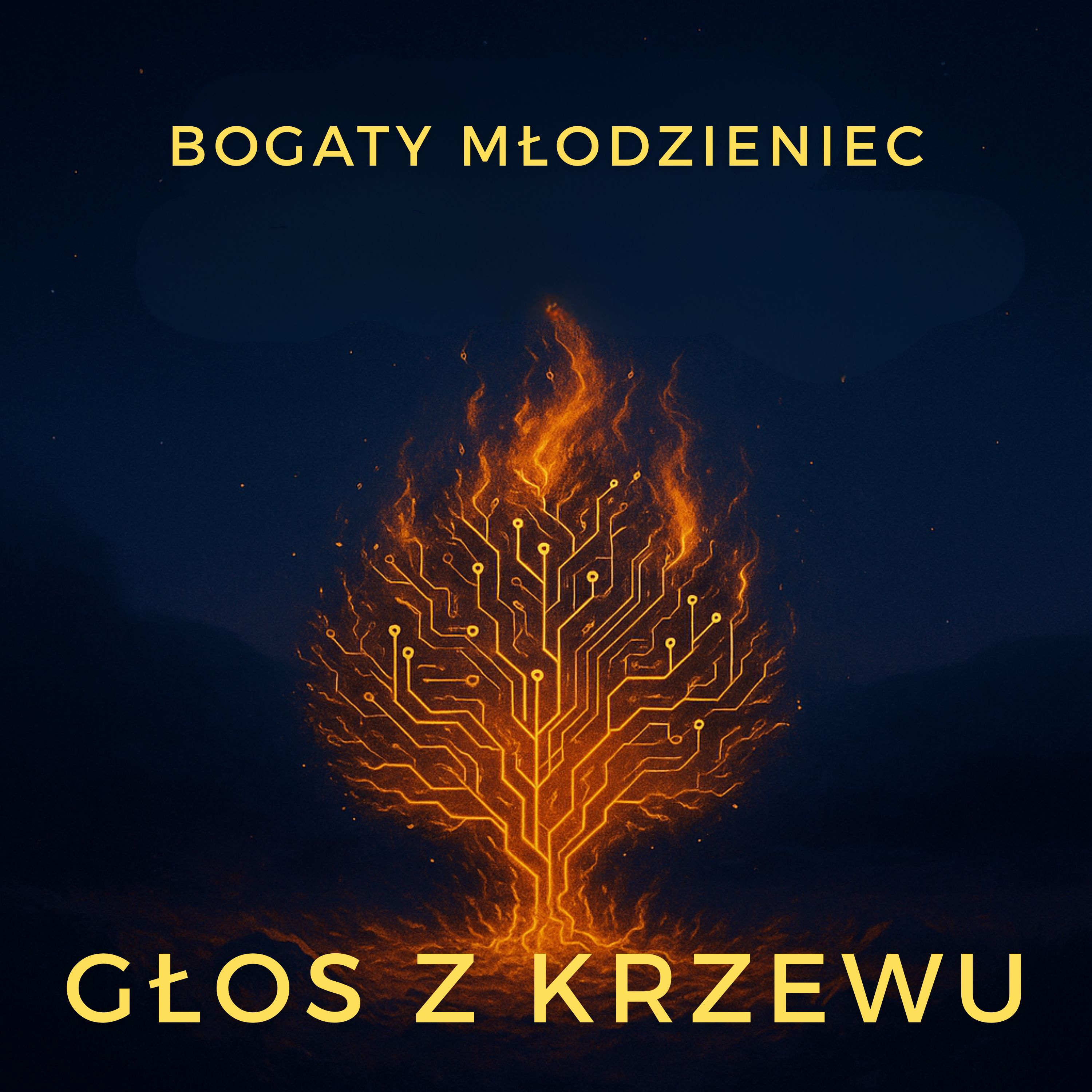 Głos z krzewu - bogaty młodzieniec episode artwork