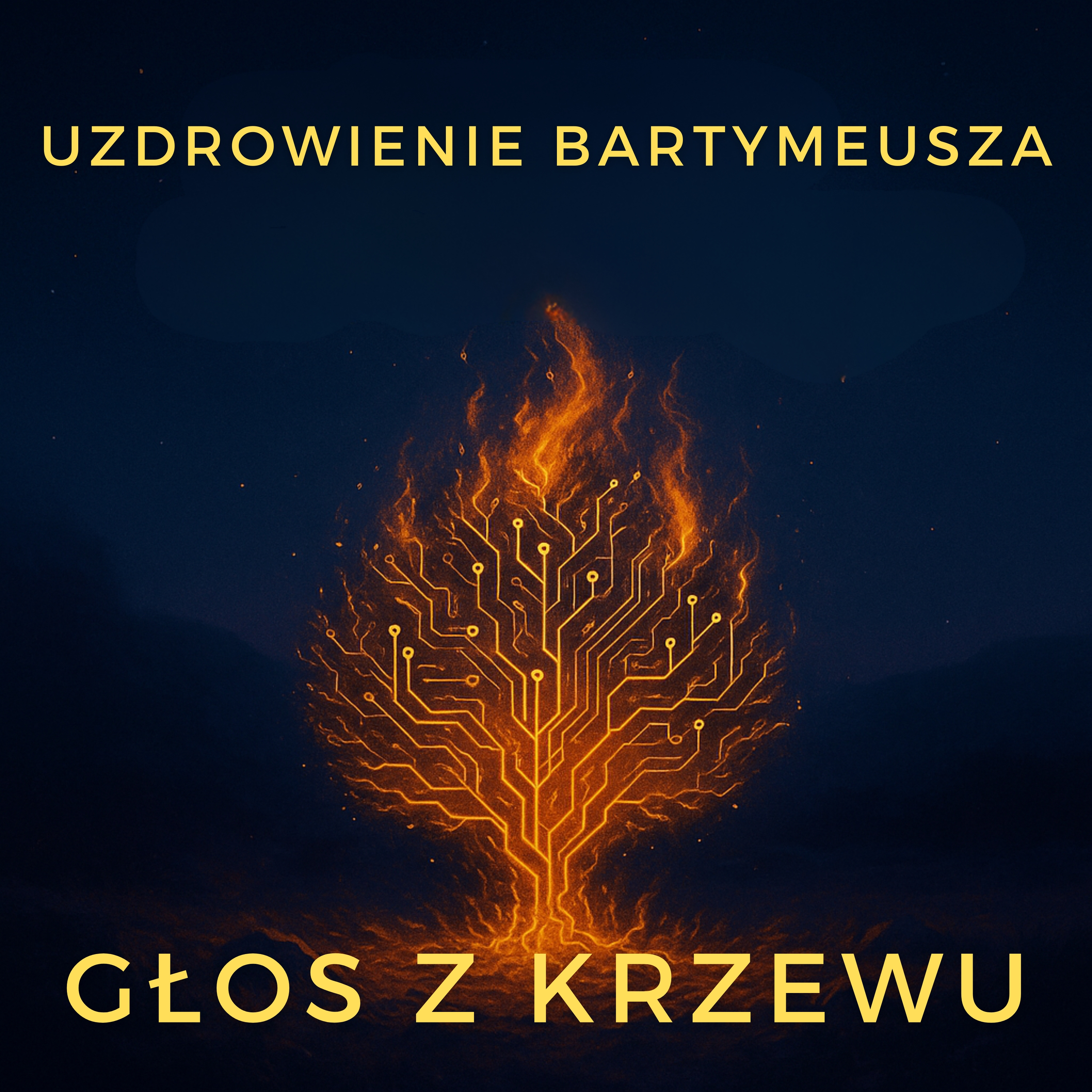 Głos z krzewu - Uzdrowienie Bartymeusza episode artwork