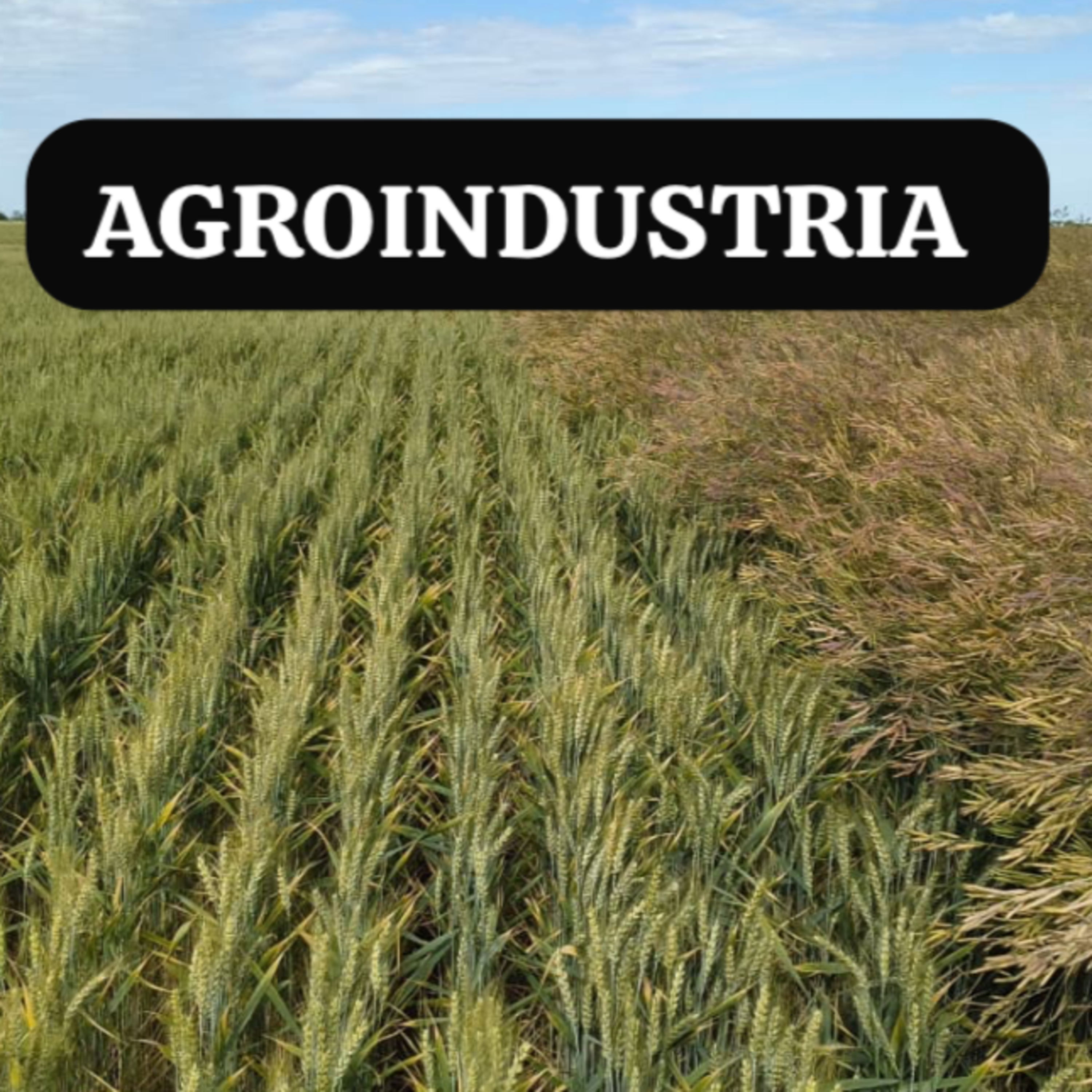 Portada de Agroindustria