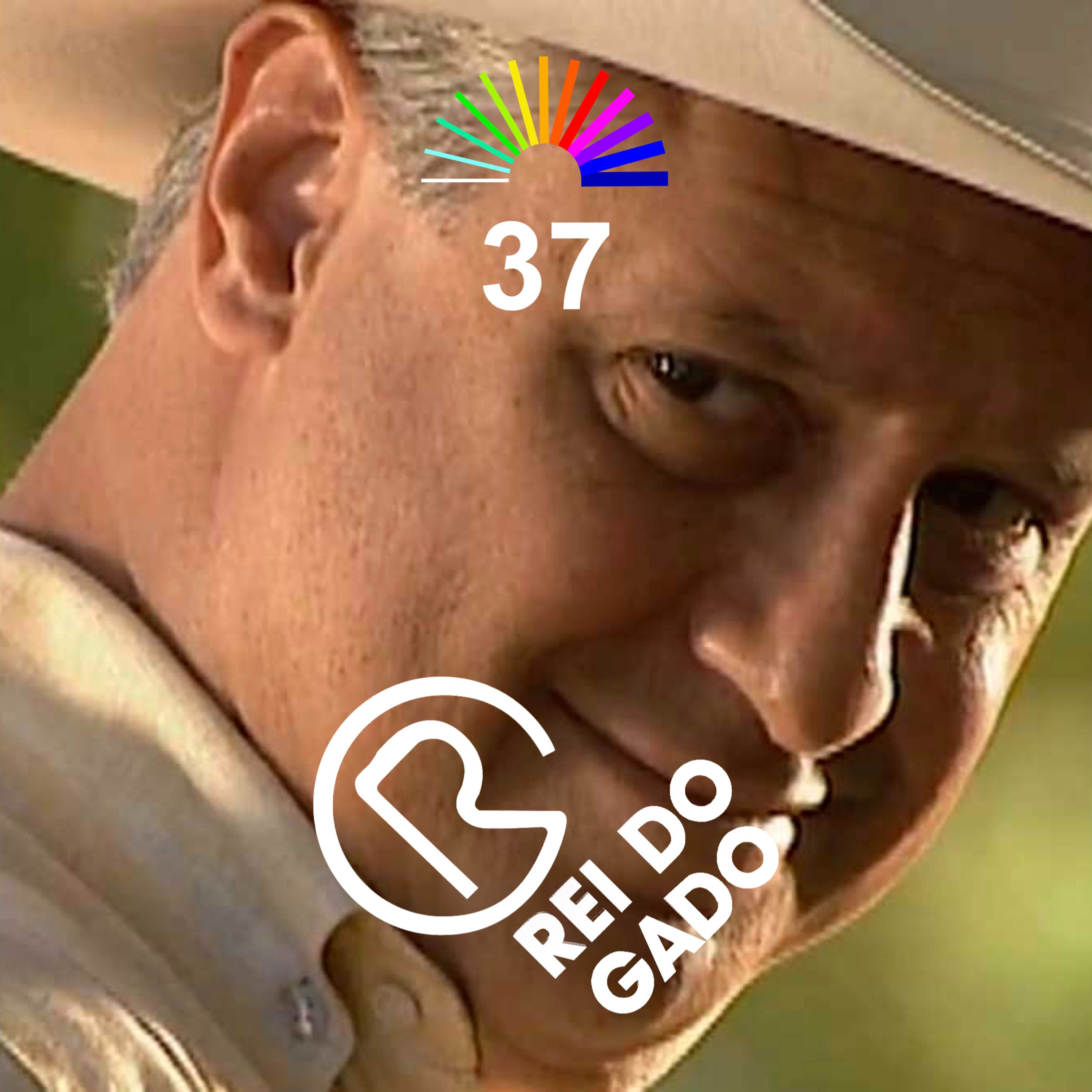 NovelaCast - O rei do gado