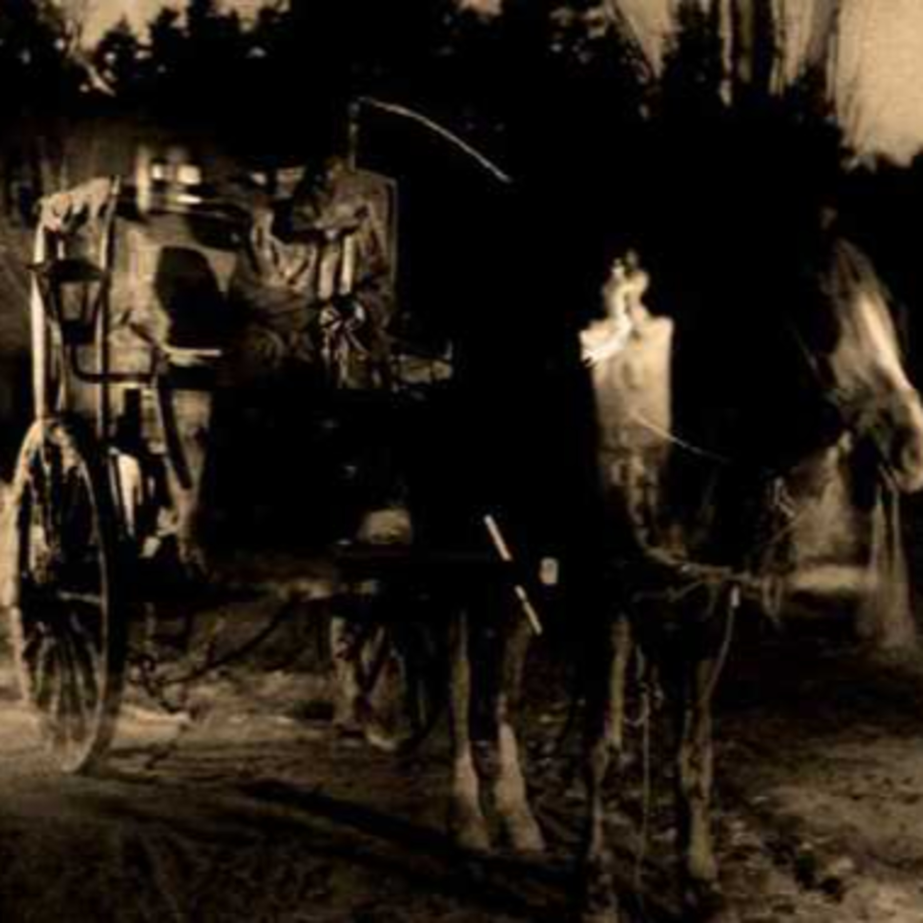 Portada de Relatos De Terror Sendero De Nox
