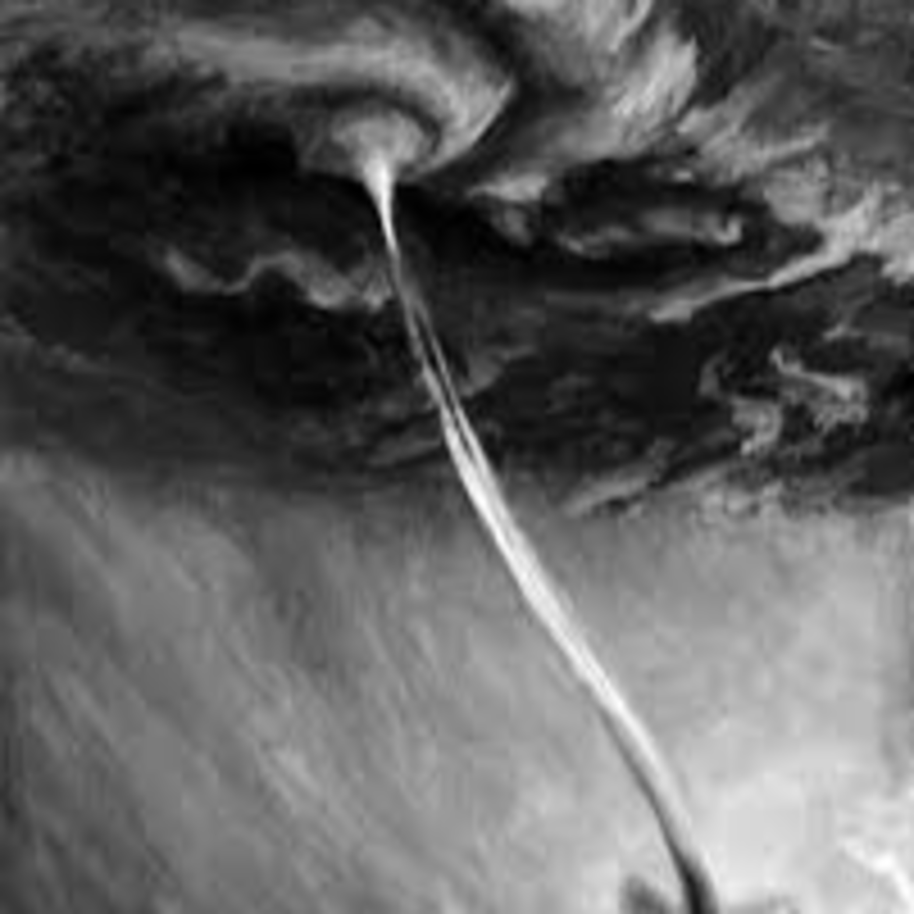 Portada de Relatos De Terror Sendero De Nox