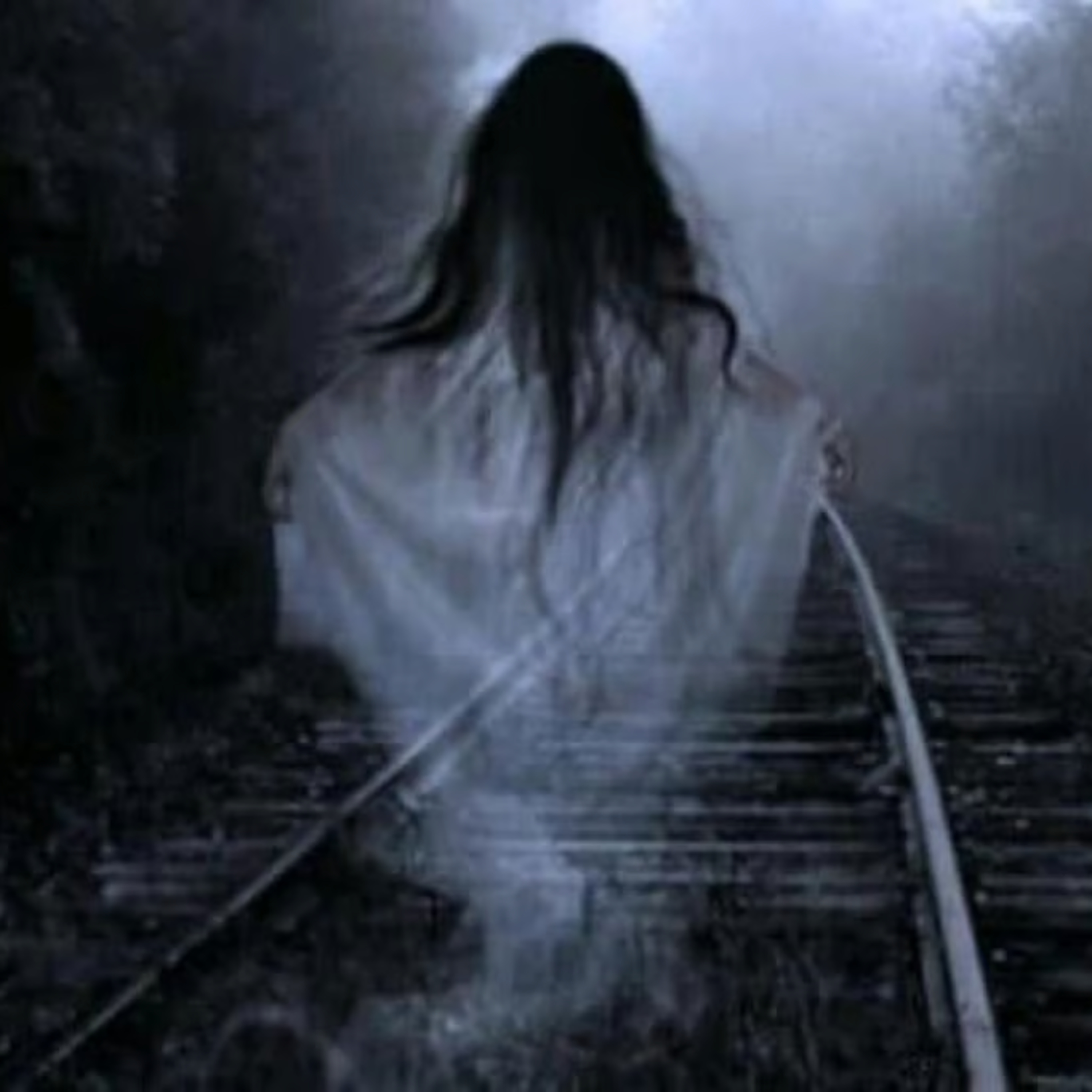 Portada de Relatos De Terror Sendero De Nox