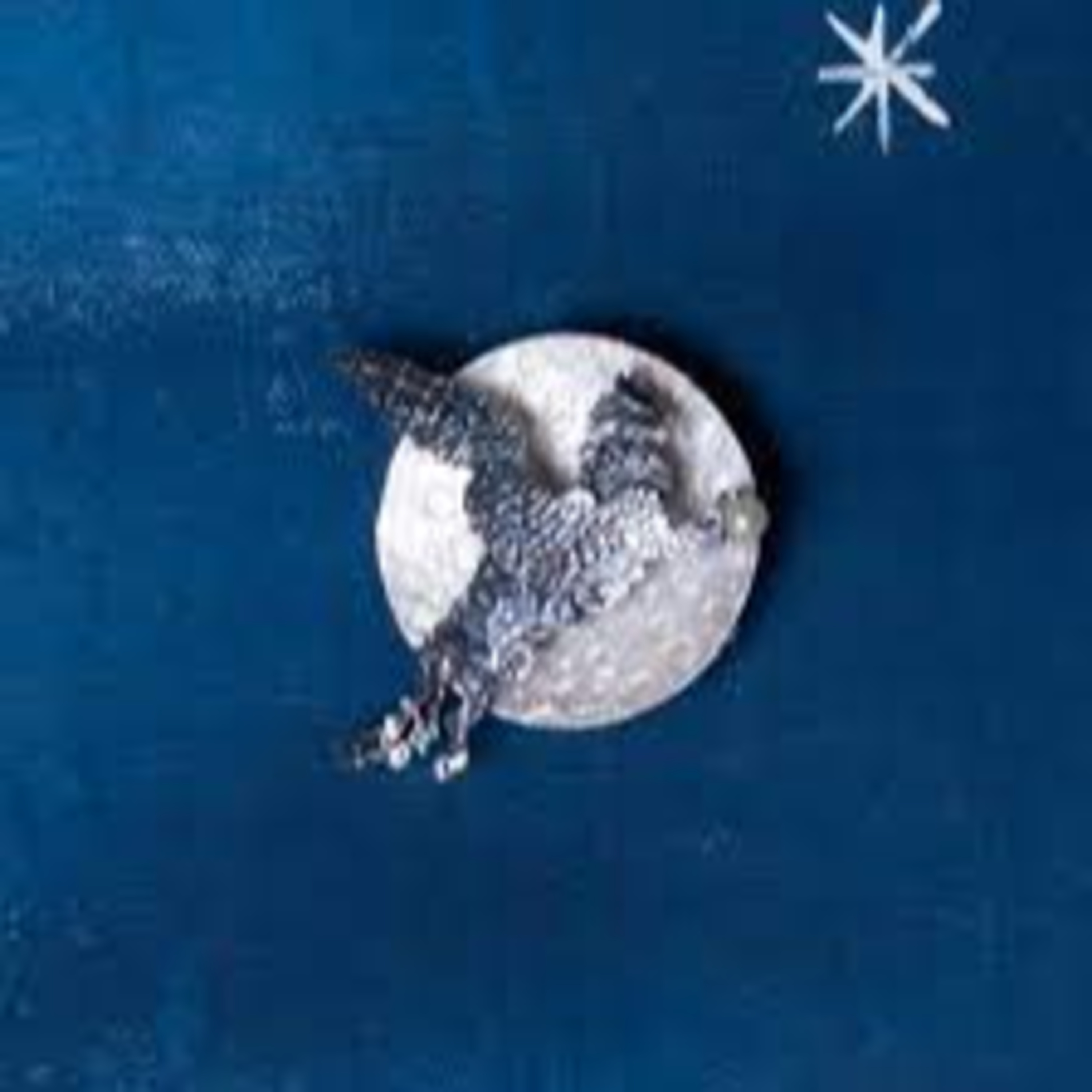 #216 - Ippogrifi e lune
