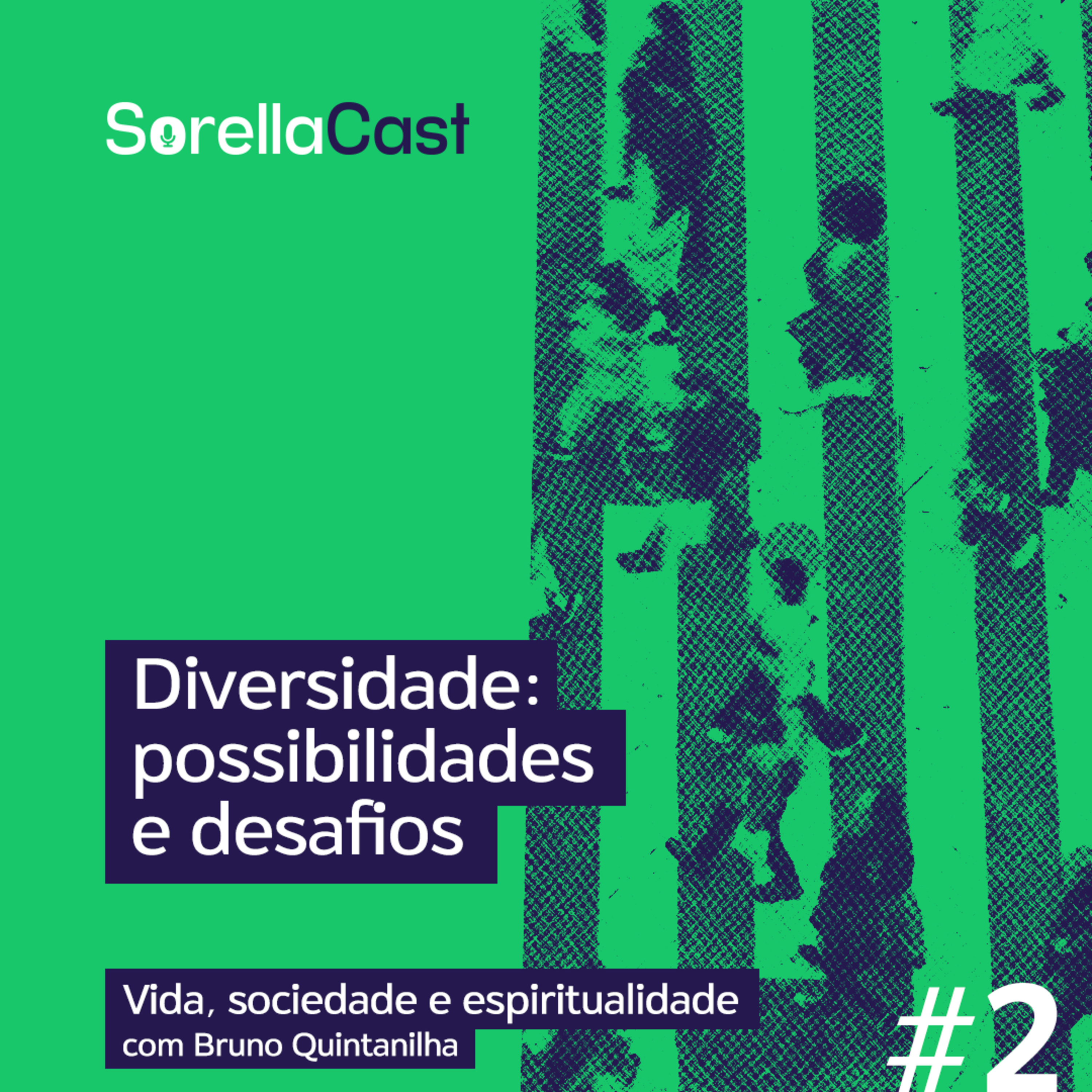 Diversidade: possibilidades e desafios - Série Vida, sociedade e espiritualidade - Ep#2 episode artwork