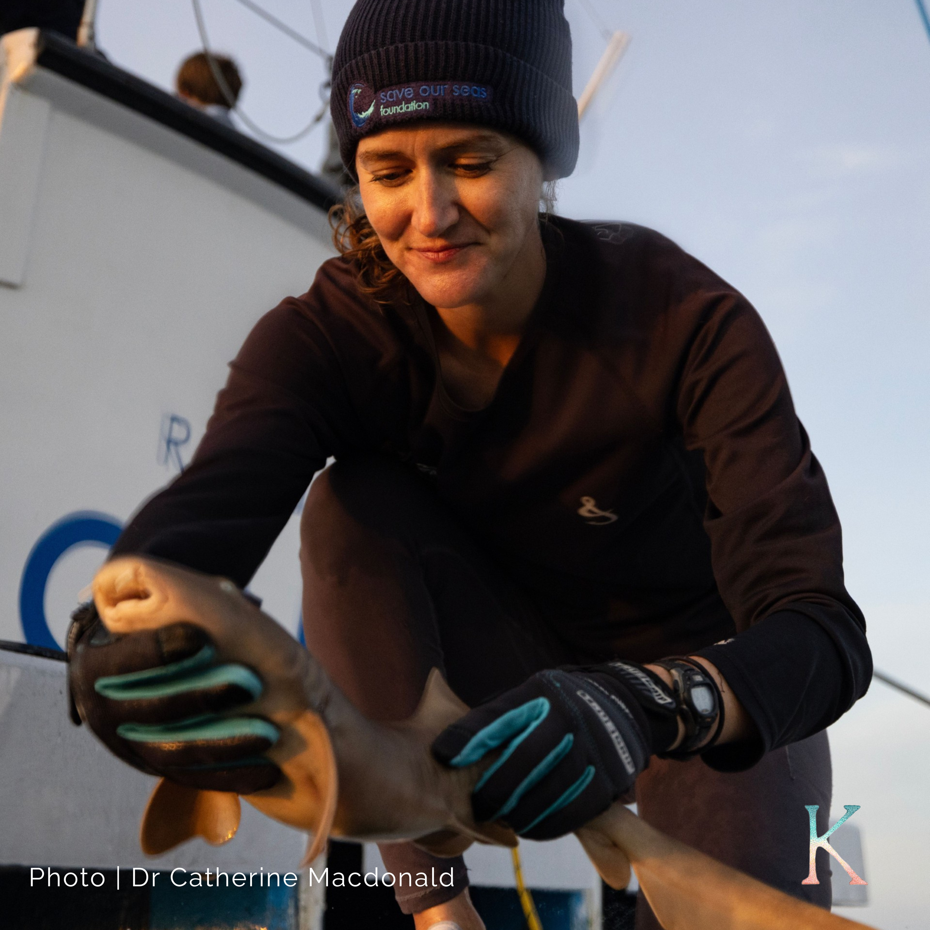 The Shark | With Dr. Catherine Macdonald, Marine Conservation Biologist