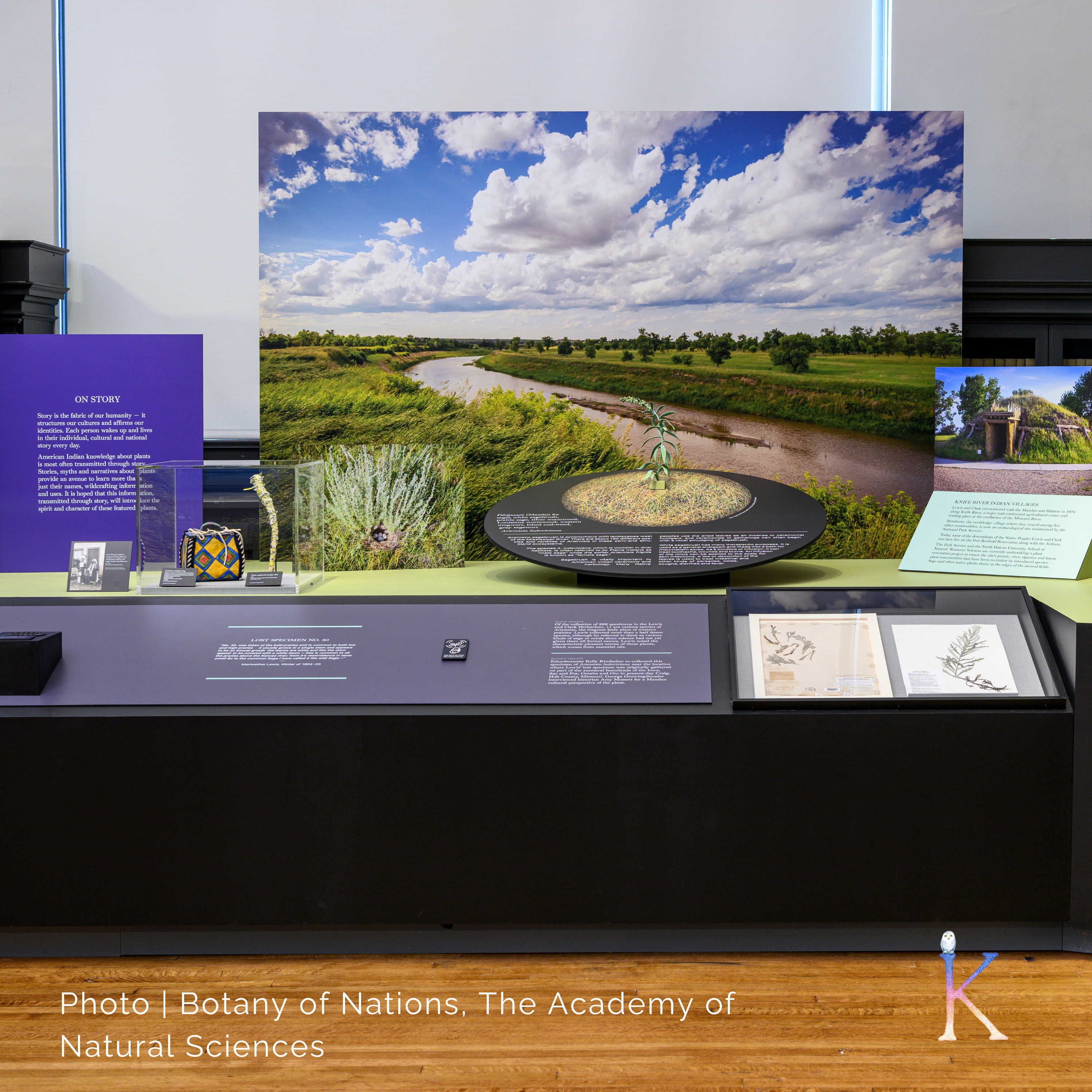 Plants As Portals | Inside Botany of Nations Exhibit Plants As Portals | Inside Botany of Nations Exhibit