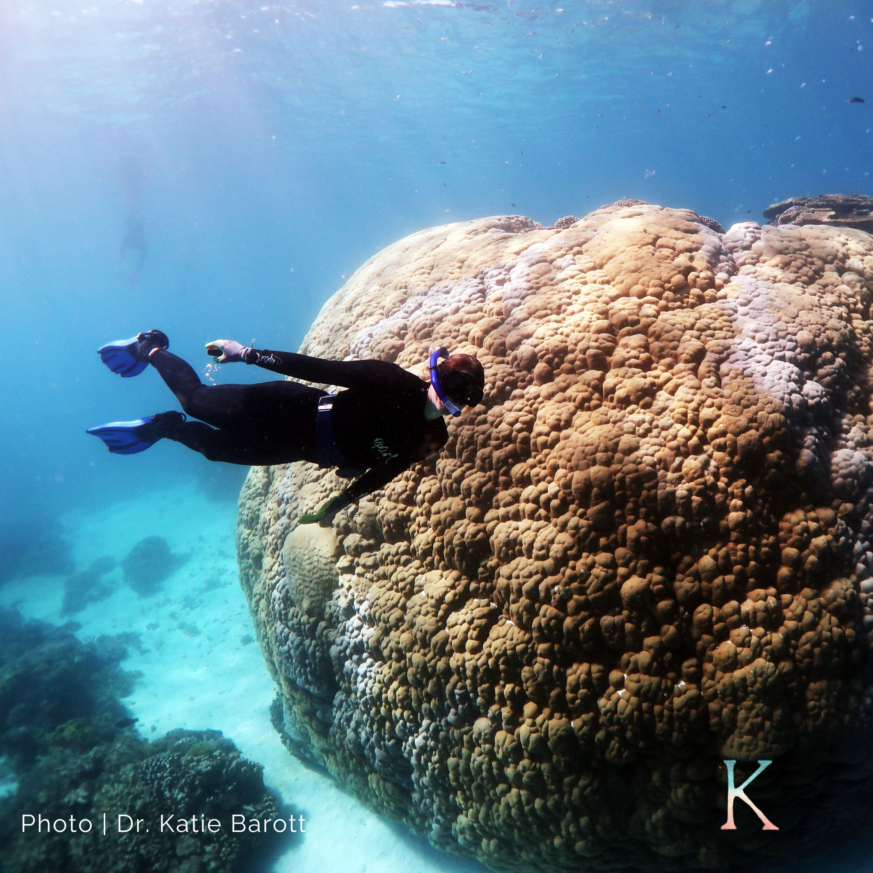 Coral Reefs | With Dr. Katie Barott, Associate Professor of Biology