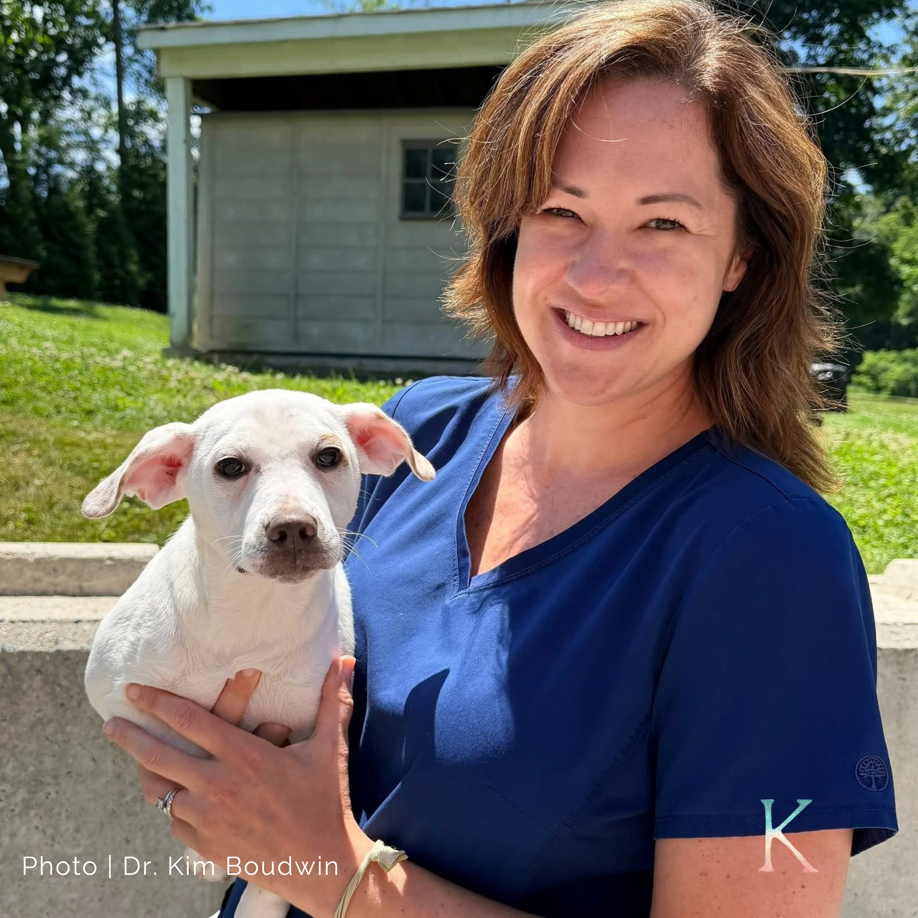 Reimagining Animal Shelters | With Dr. Kim Boudwin, Providence Animal Center