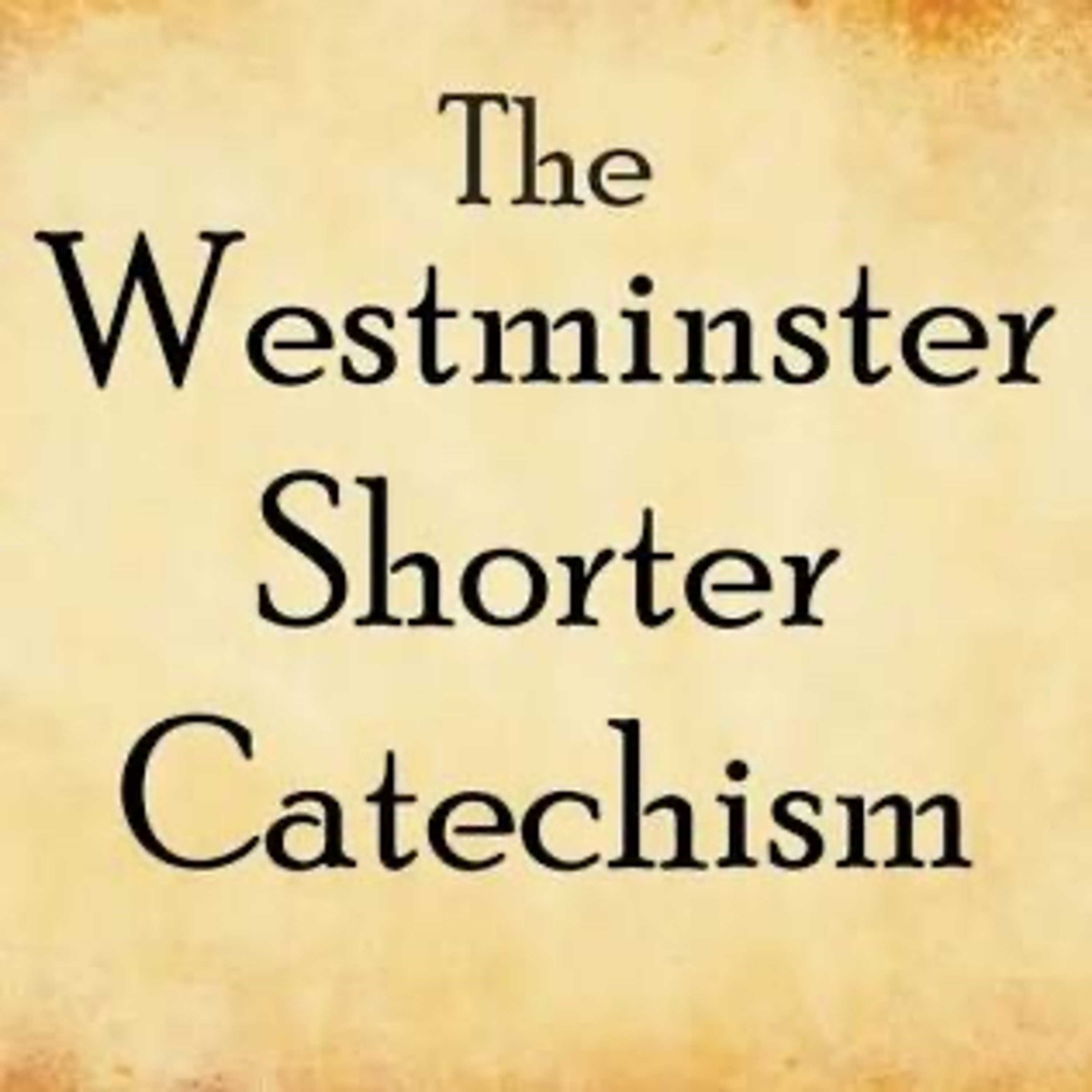WSC Q&A .8 episode artwork