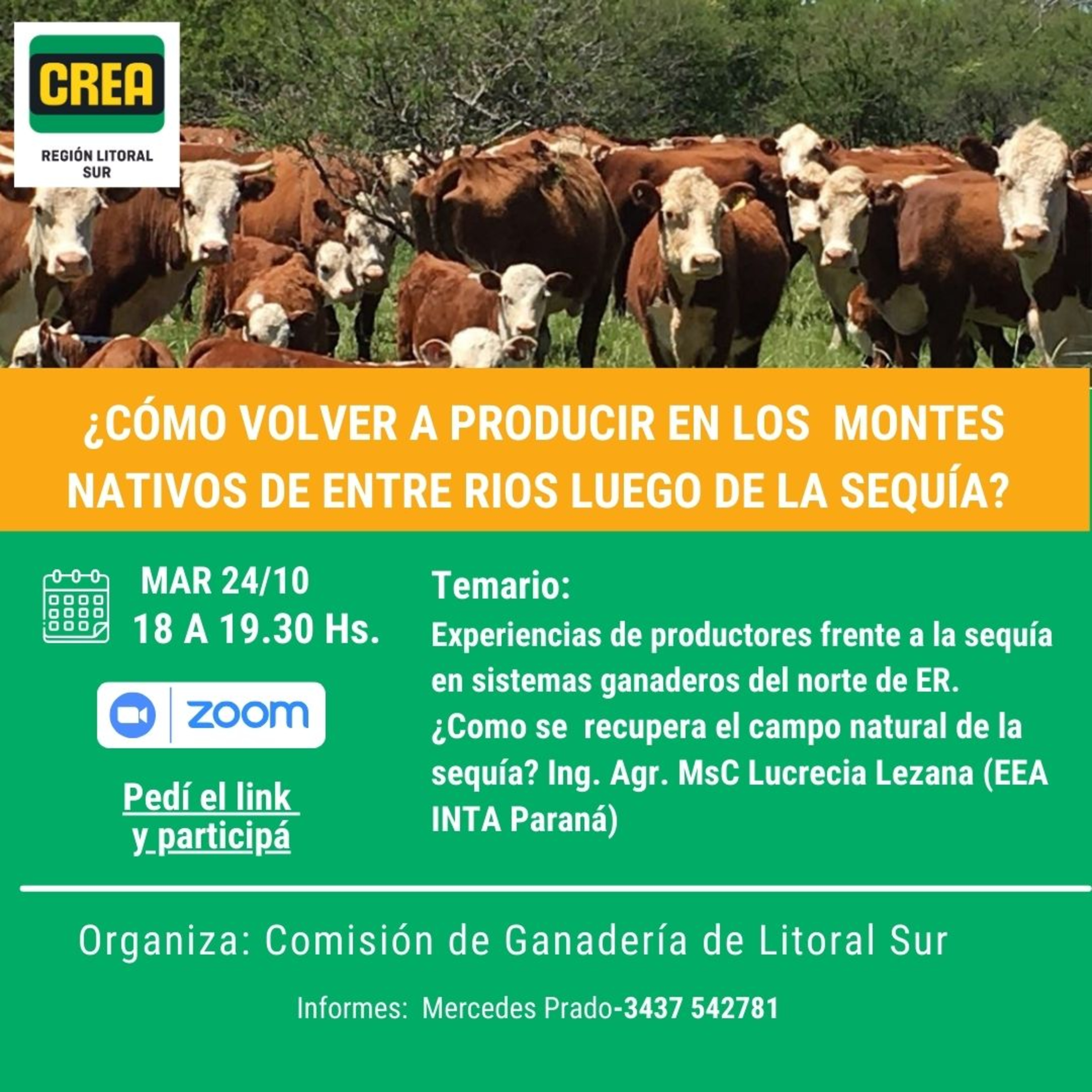 Taller: Cómo volver a producir en los montes nativos de ER luego de la sequía? episode artwork