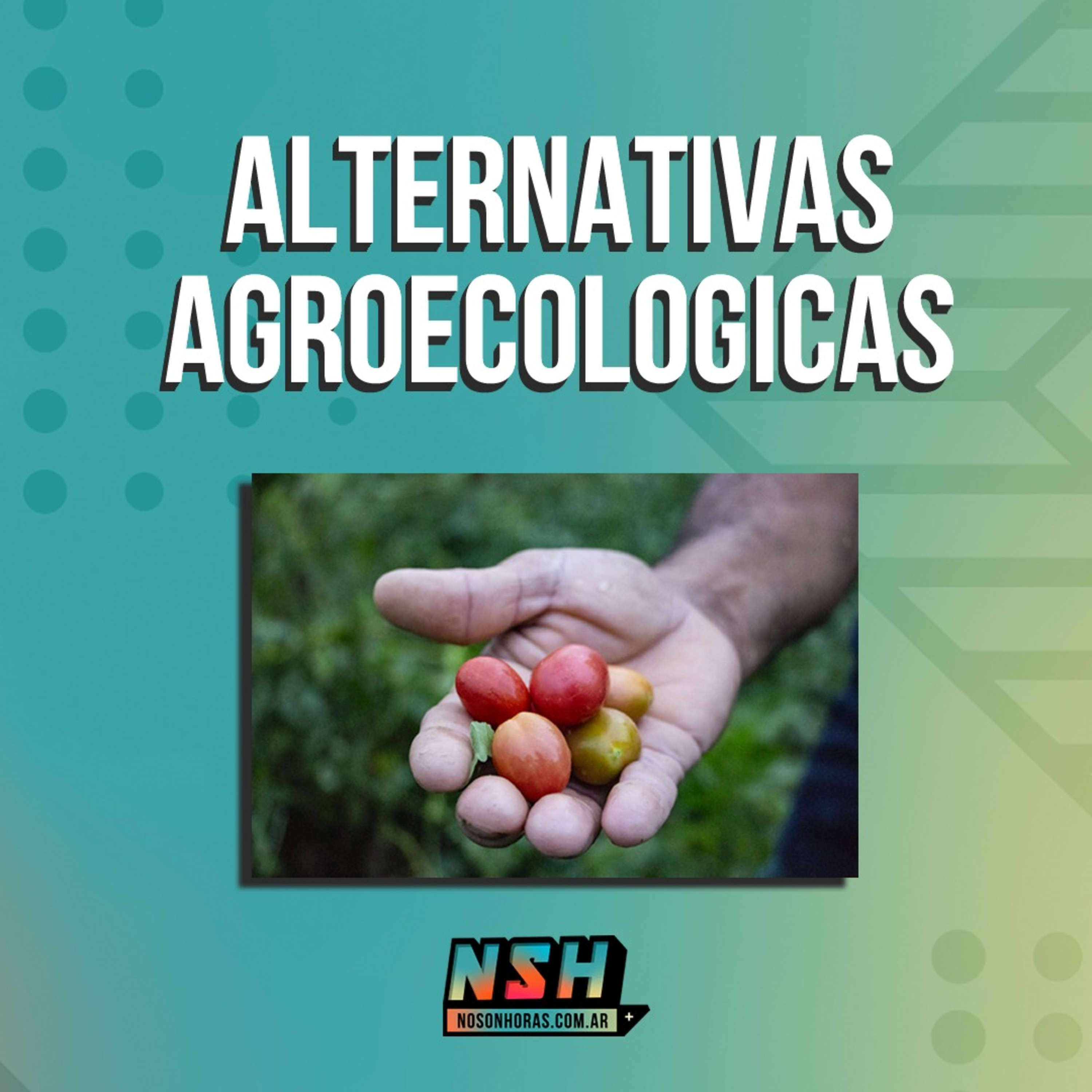 208. NSH - Alternativas Agroecológicas episode artwork