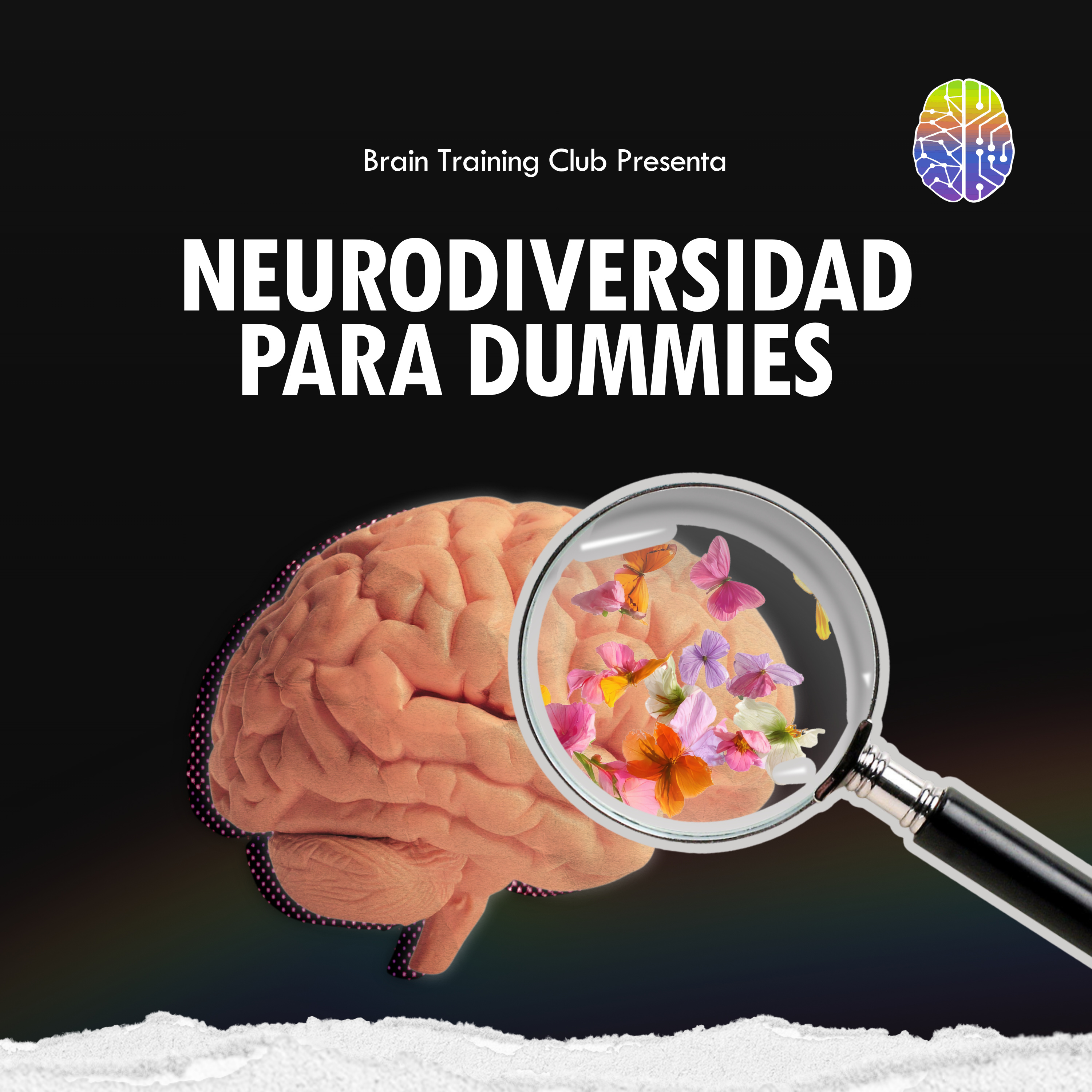 NEURODIVERSIDAD PARA DUMMIES: cápsula del libro de John Marble