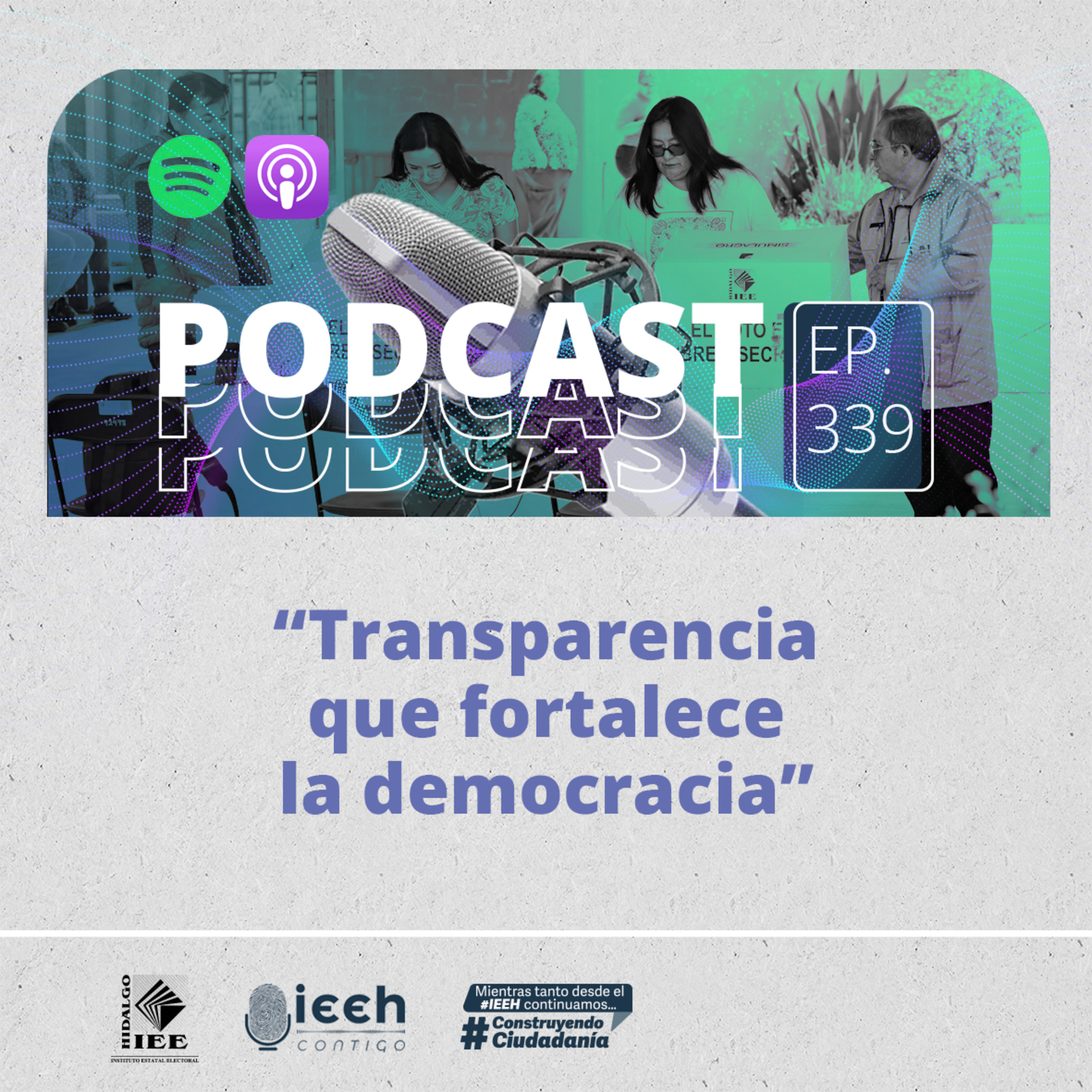 Portada de Instituto Estatal Electoral de Hidalgo
