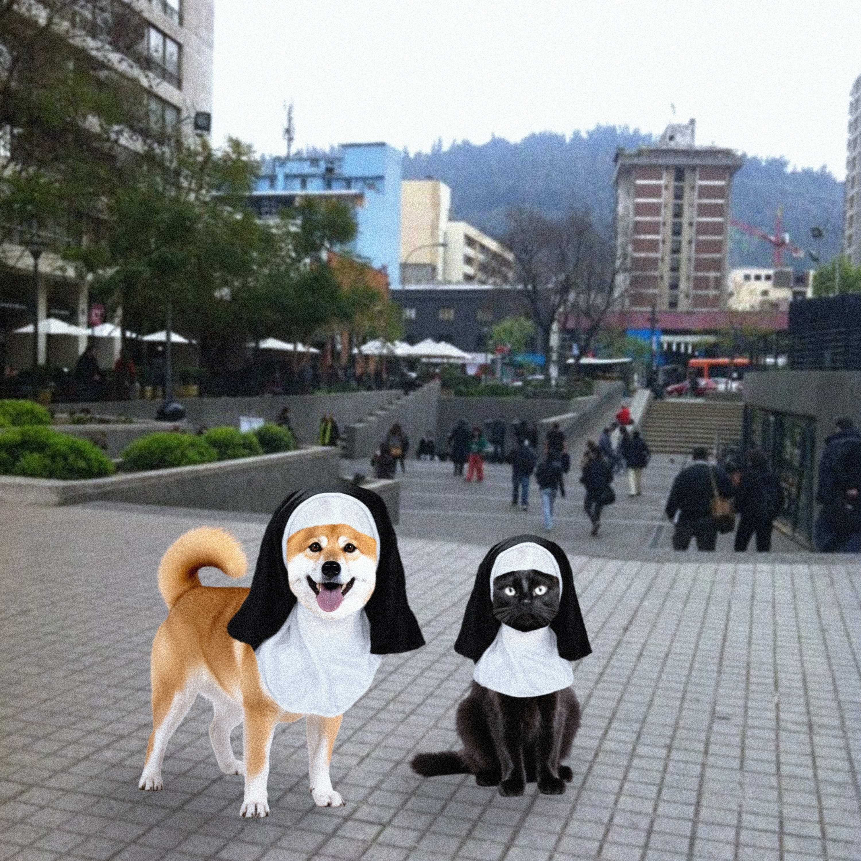 164.- Monjas brígidas